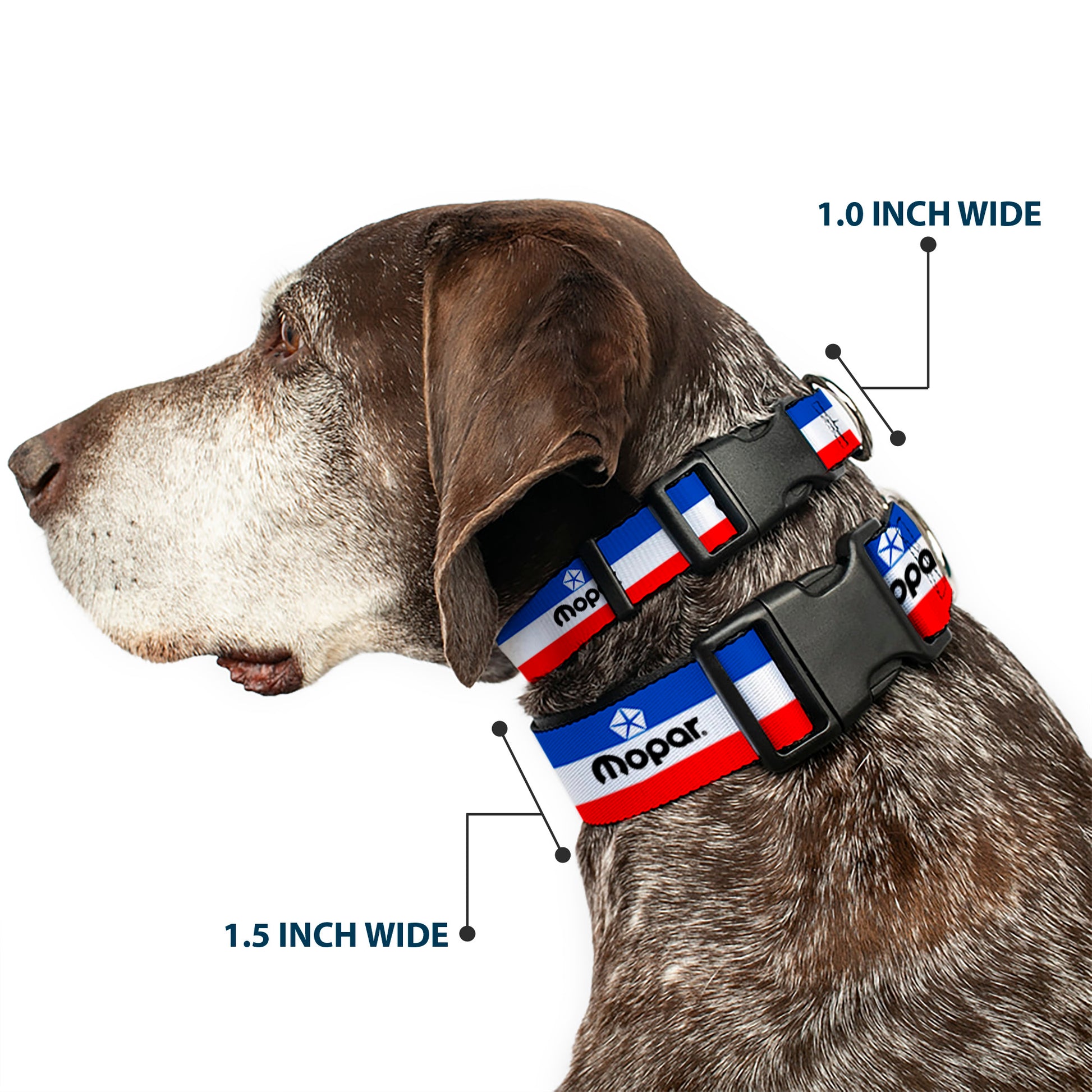 Plastic Clip Collar - Chrysler/MOPAR Logo Repeat/Stripe Blue/White/Red Plastic Clip Collars Mopar
