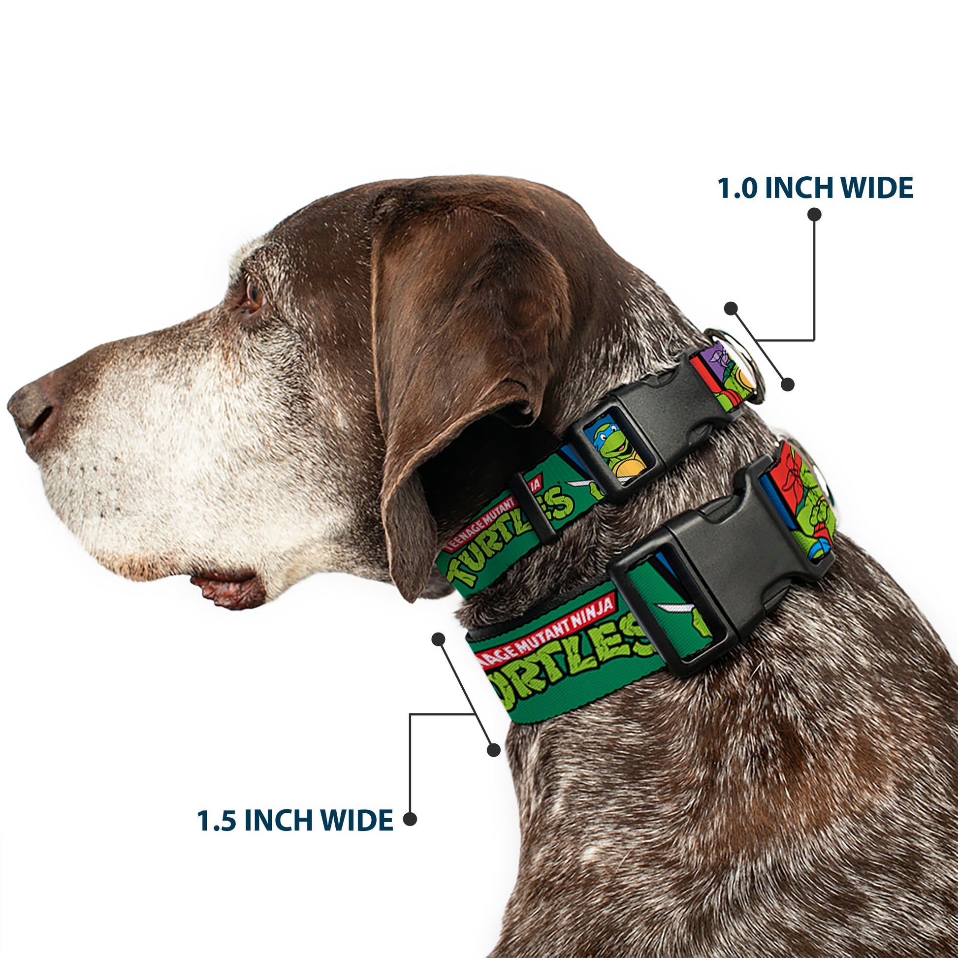 Plastic Clip Collar - Classic TEENAGE MUTANT NINJA TURTLES Group Pose3/TMNT Logo Green/Multi Color Plastic Clip Collars Teenage Mutant Ninja Turtles