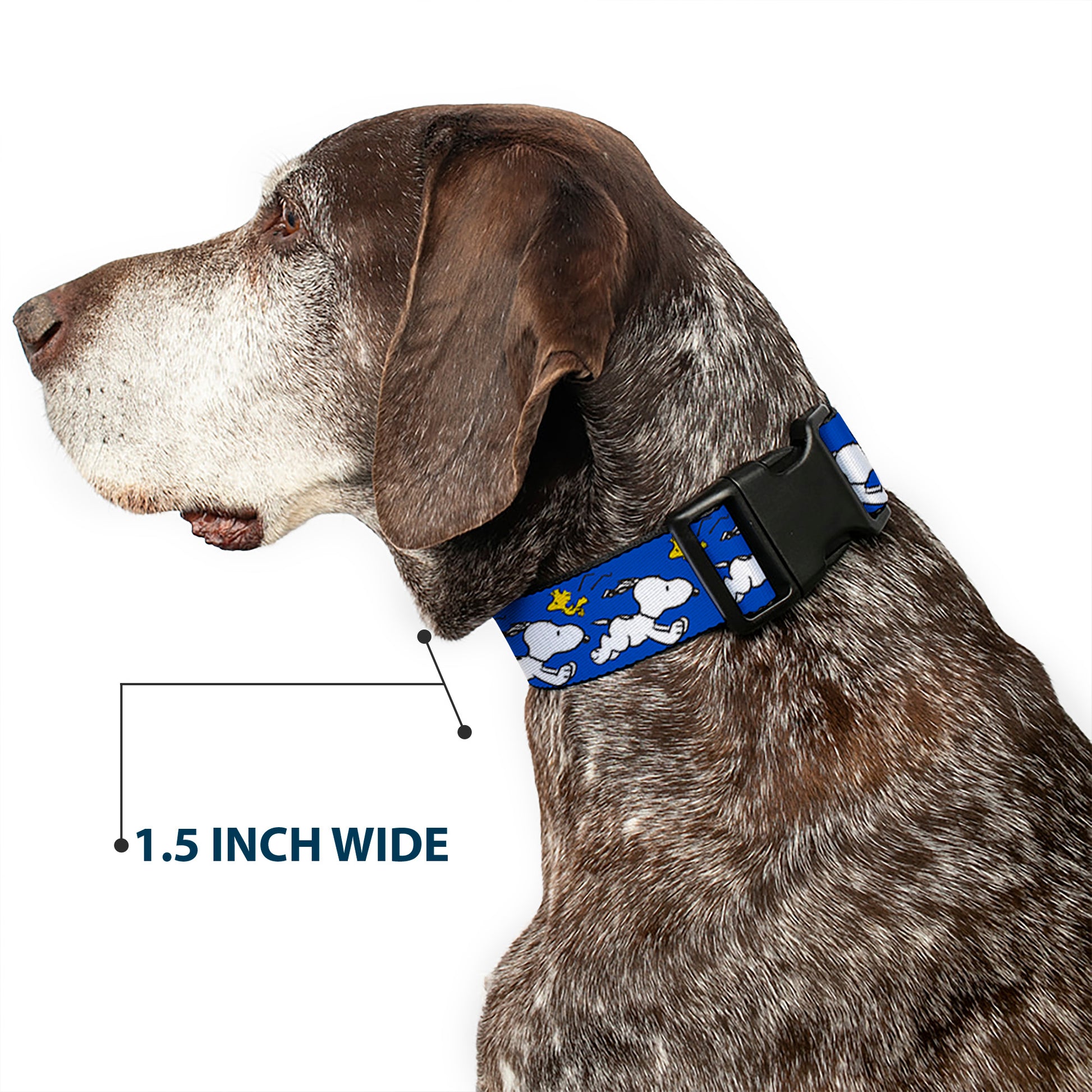 Plastic Clip Collar - Peanuts Snoopy Running and Woodstock Pose Blue Plastic Clip Collars Peanuts