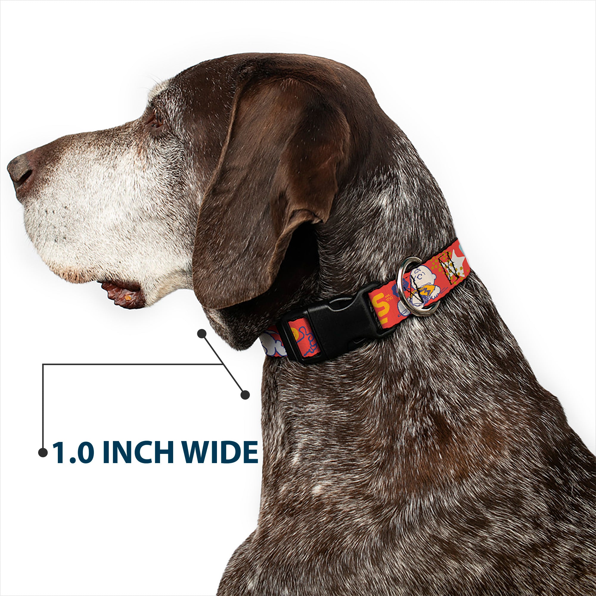Plastic Clip Collar - Peanuts Gang SEMI-POSITIVE VIBES Quote Red/Blues/White Plastic Clip Collars Peanuts