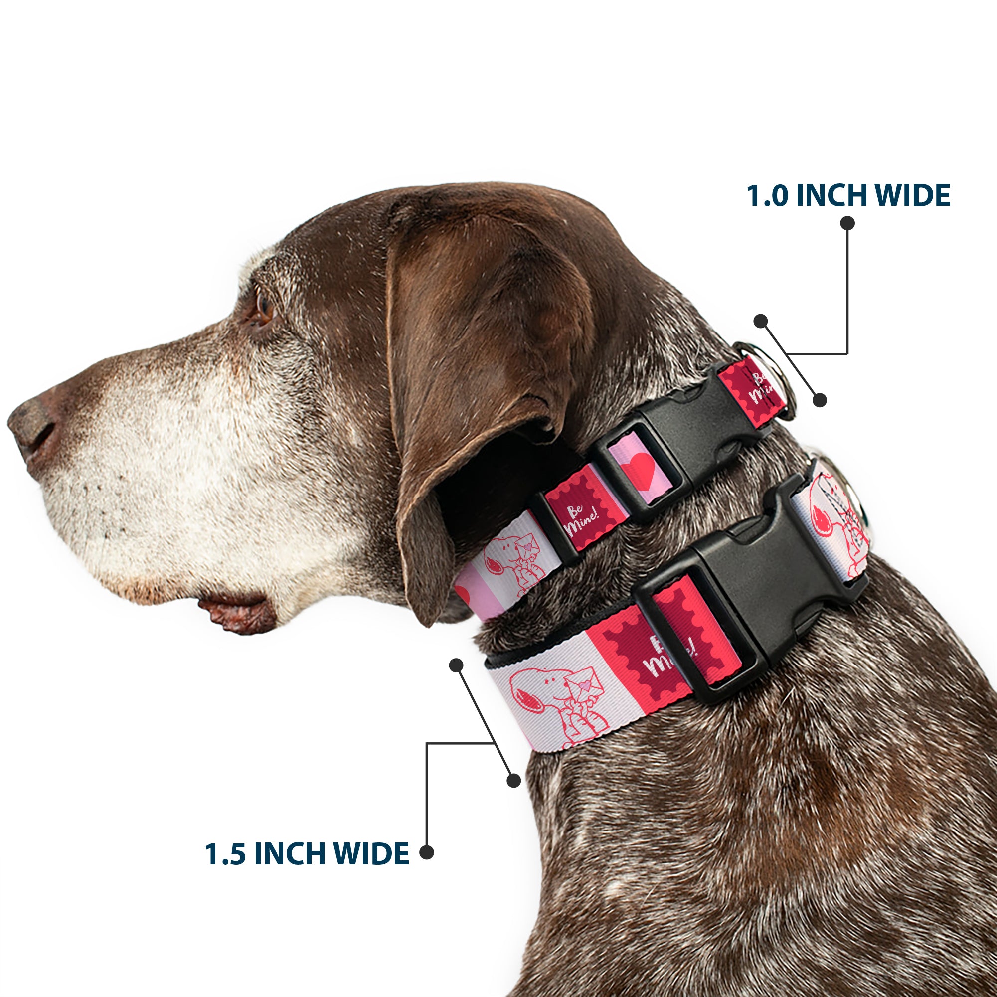 Plastic Clip Collar - Peanuts Snoopy BE MINE Valentine Pose and Icons Blocks White/Reds/Pinks Plastic Clip Collars Peanuts