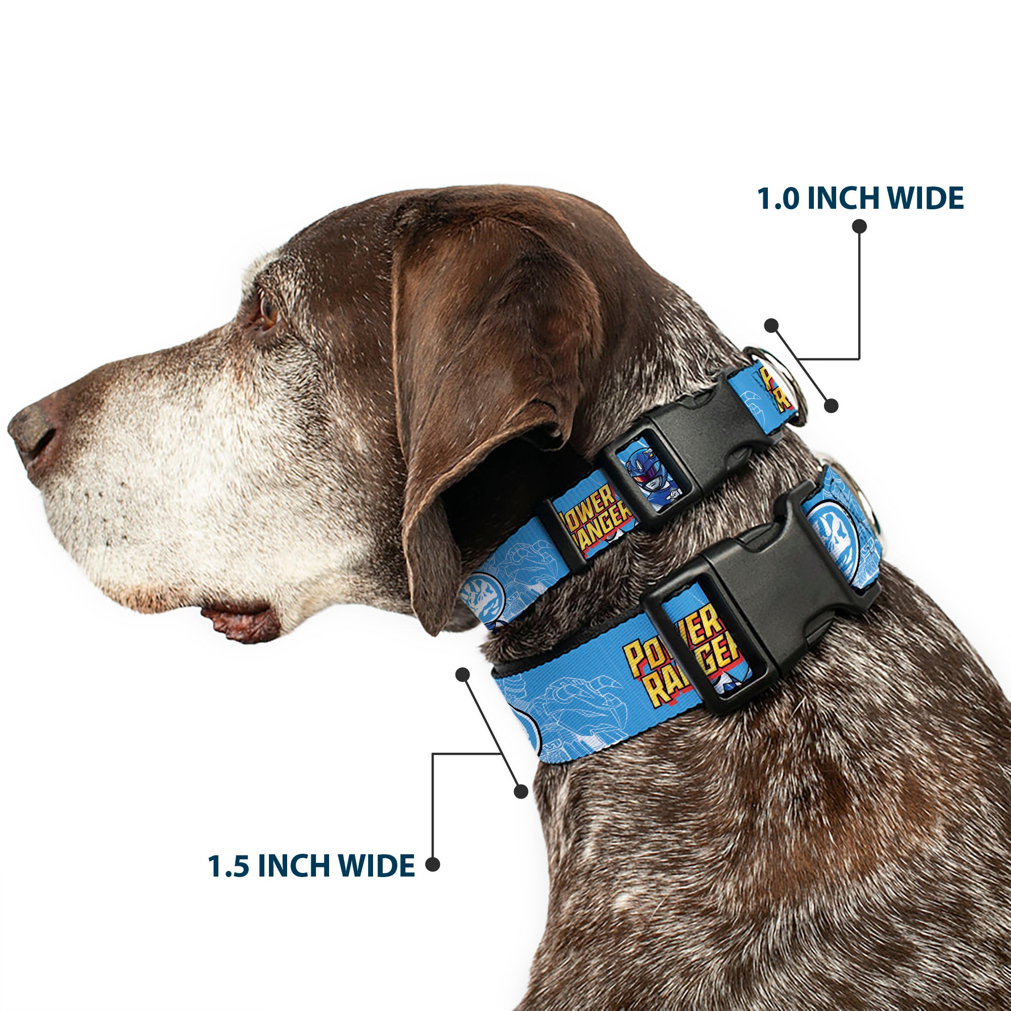 Plastic Clip Collar - POWER RANGERS Blue Ranger Triceratops Pose and Coin Icon Light Blue