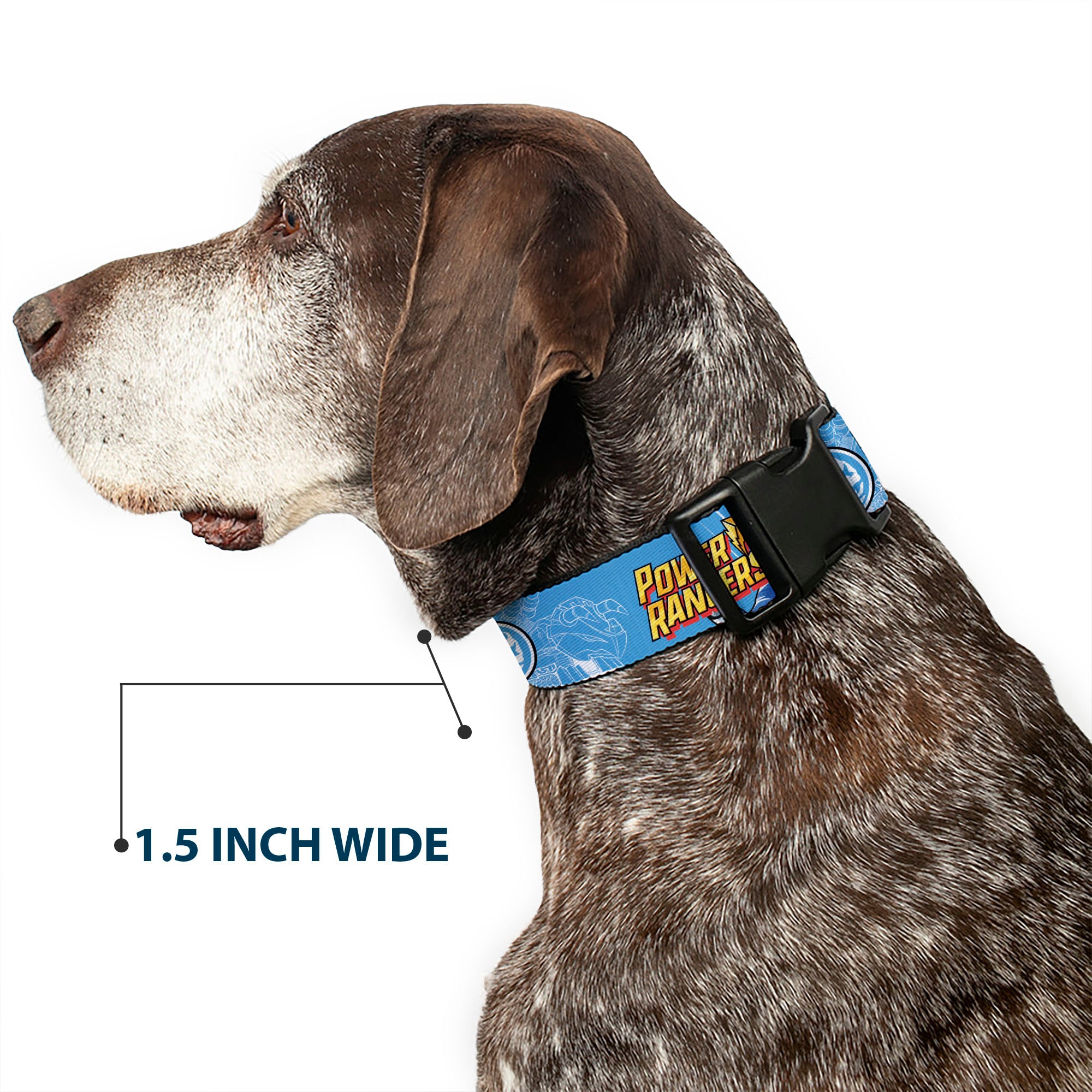 Plastic Clip Collar - POWER RANGERS Blue Ranger Triceratops Pose and Coin Icon Light Blue