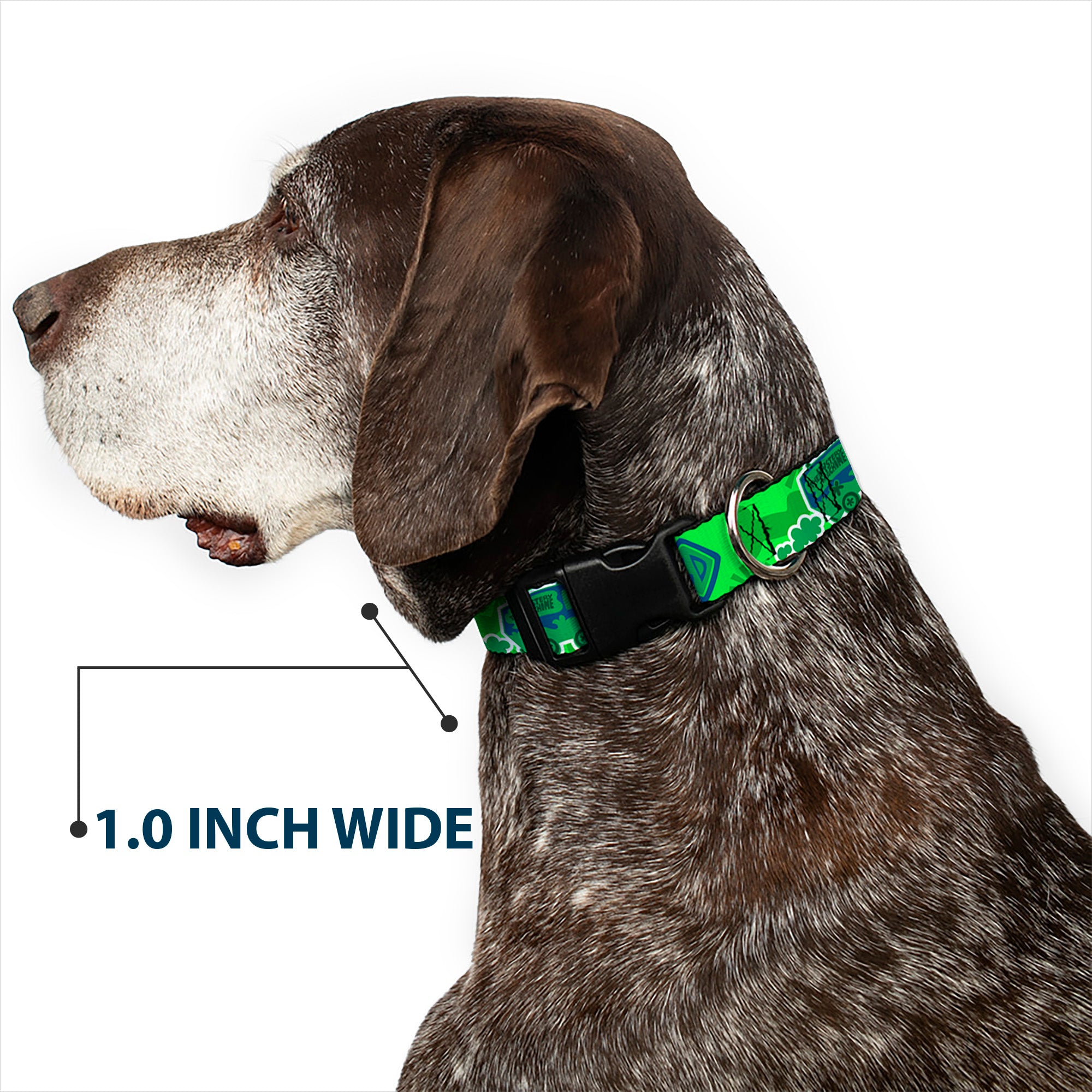 Plastic Clip Collar - Scooby Doo Mystery Machine/Dog Tag Collage Greens/Blues Plastic Clip Collars Scooby Doo