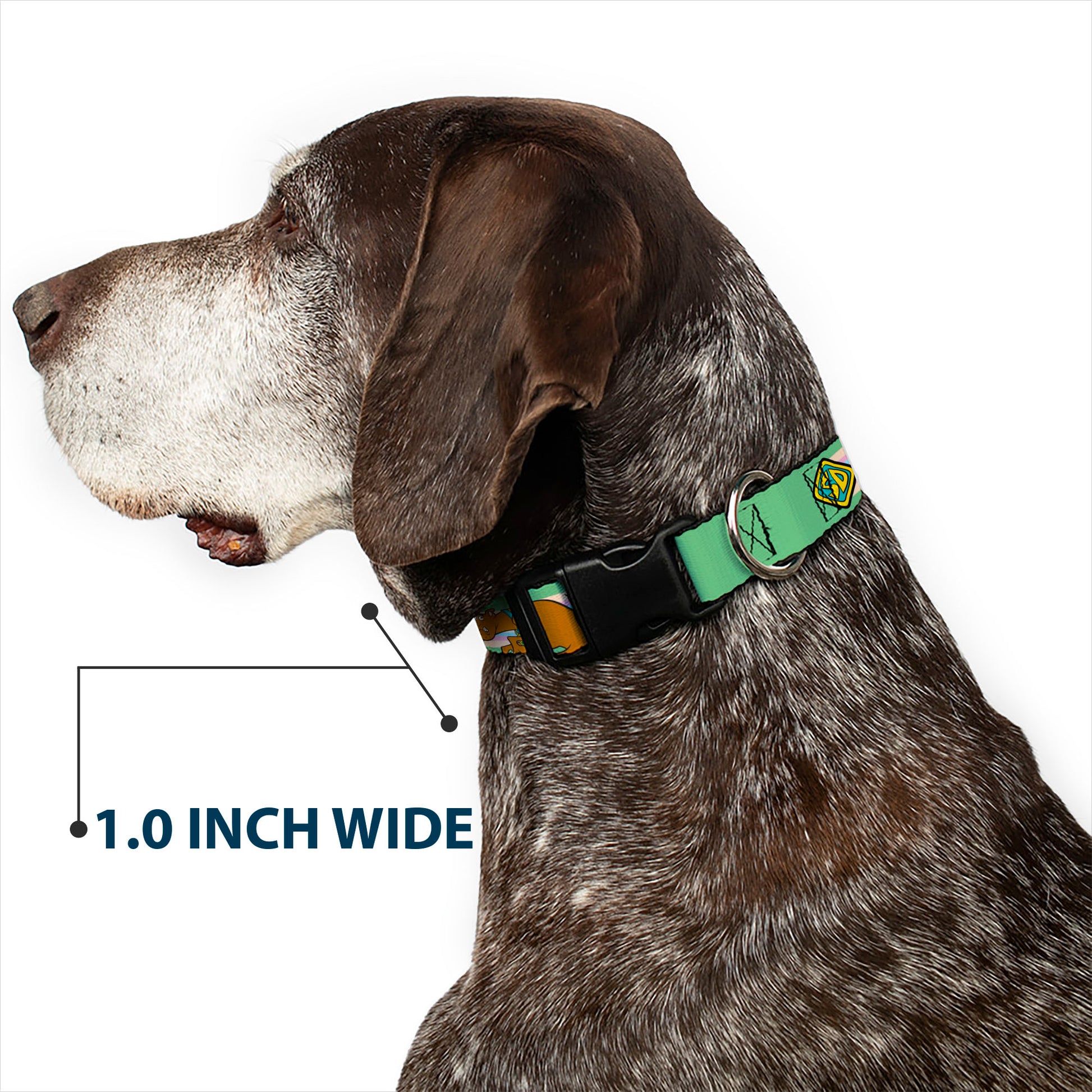 Plastic Clip Collar - Scooby-Doo Sneaking Pose and Monster Eyes Greens Plastic Clip Collars Scooby Doo