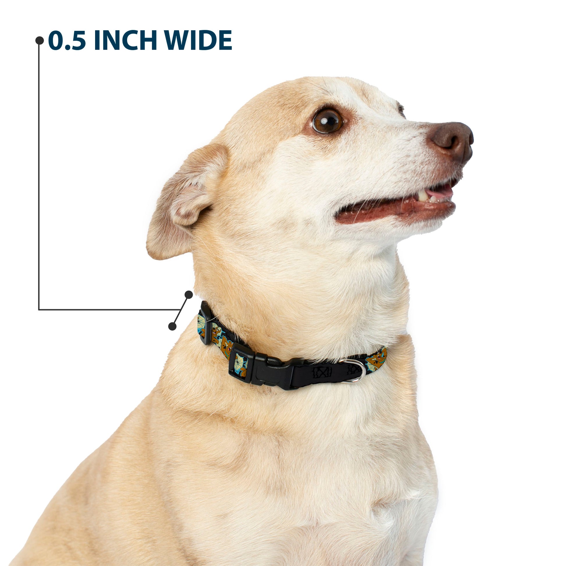 Plastic Clip Collar - Scooby-Doo Scared Spider Web Poses Black Plastic Clip Collars Scooby Doo