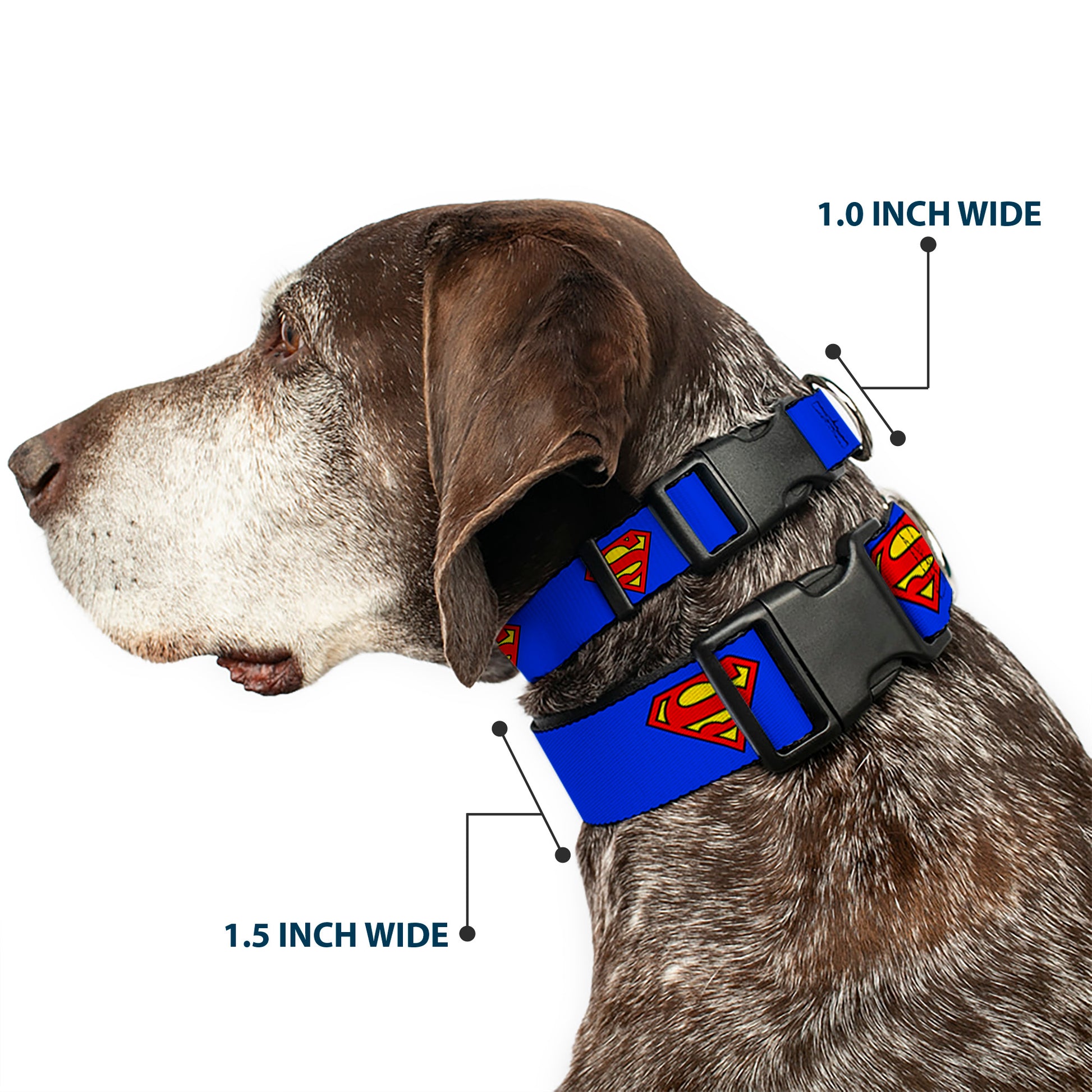 Plastic Clip Collar - Superman Shield Blue Plastic Clip Collars DC Comics