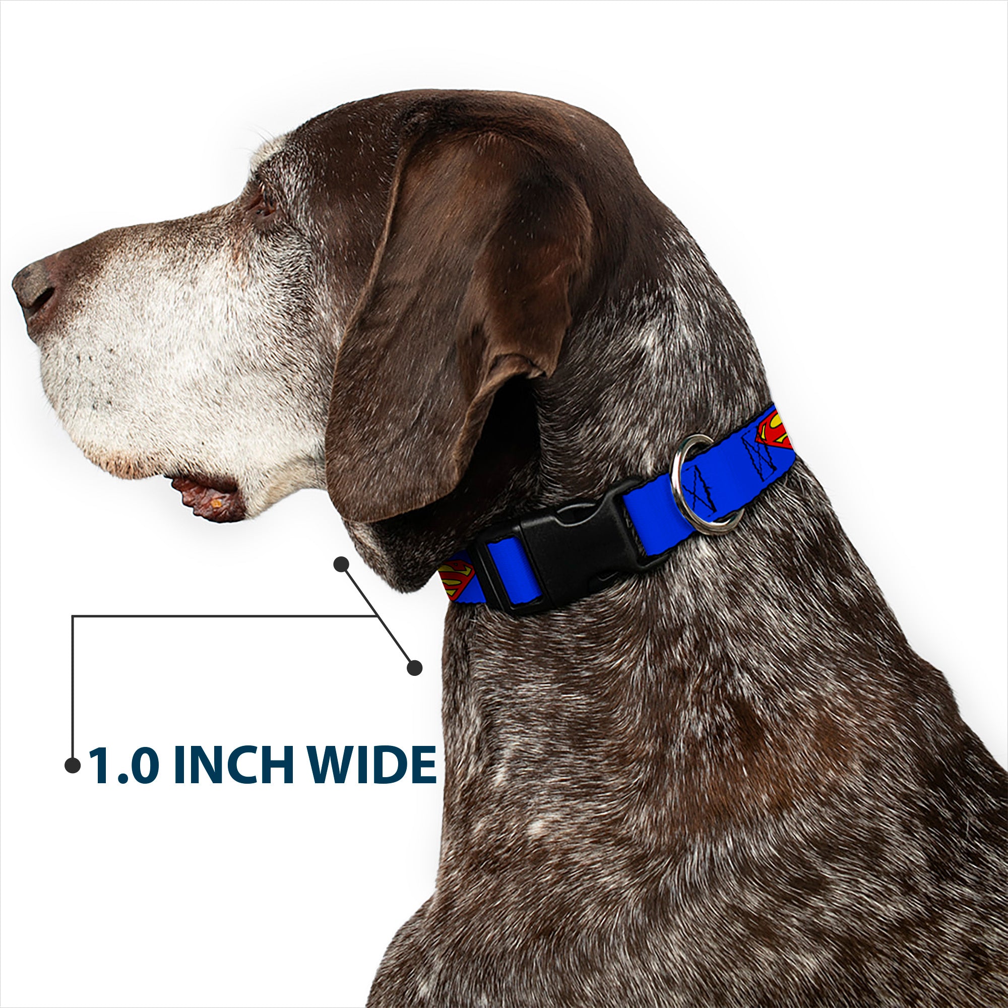 Plastic Clip Collar - Superman Shield Blue Plastic Clip Collars DC Comics