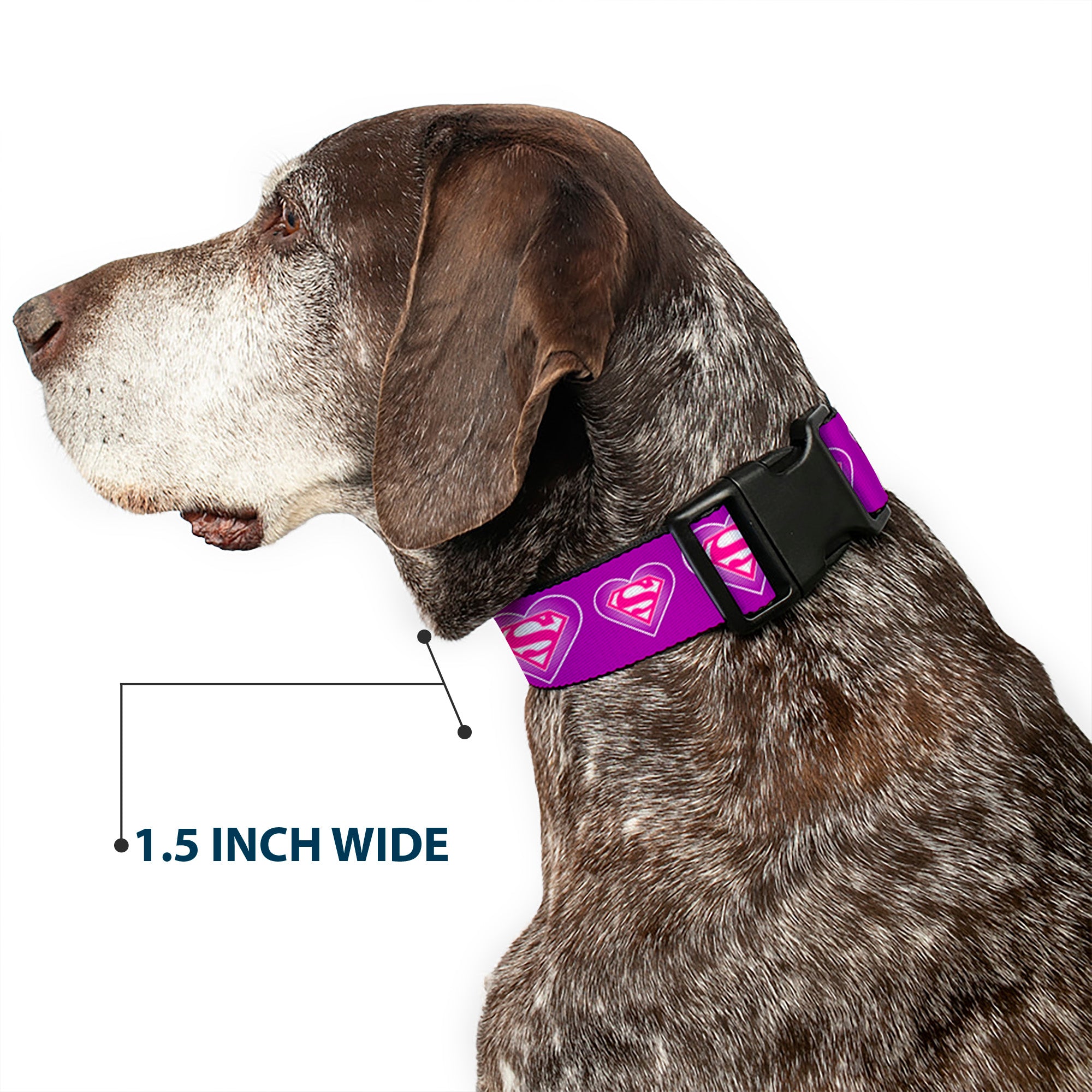 Plastic Clip Collar - Superman Logo in Heart Purple/White/Pink Plastic Clip Collars DC Comics