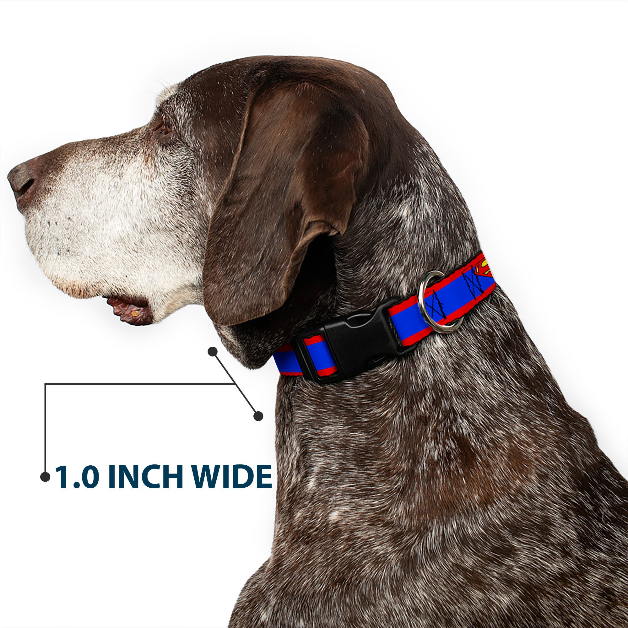 Plastic Clip Collar - Superman Shield/Stripe Red/Blue Plastic Clip Collars DC Comics