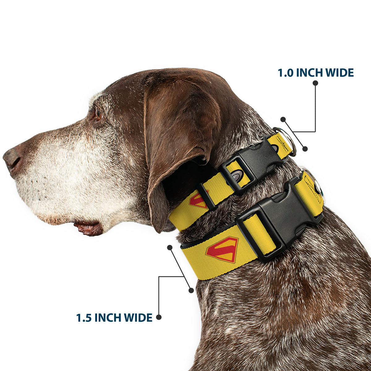 Plastic Clip Collar - Superman Krypto Collar Icons Yellows/Red/Grays Dog Collars Plastic Clip Side Release DC Comics