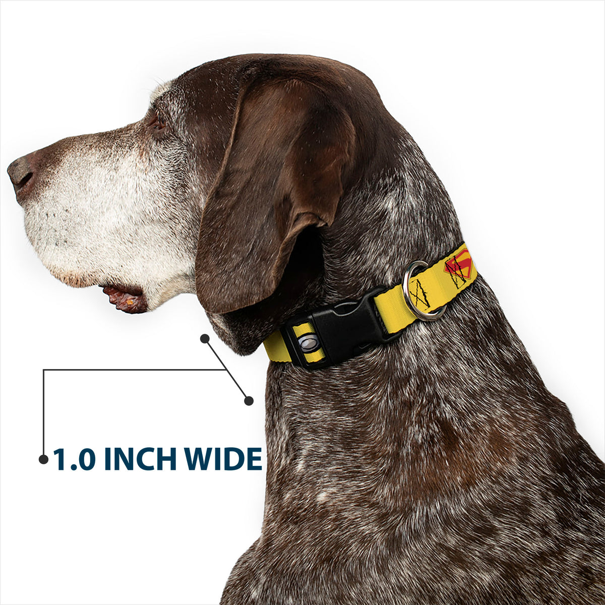 Plastic Clip Collar - Superman Krypto Collar Icons Yellows/Red/Grays Dog Collars Plastic Clip Side Release DC Comics