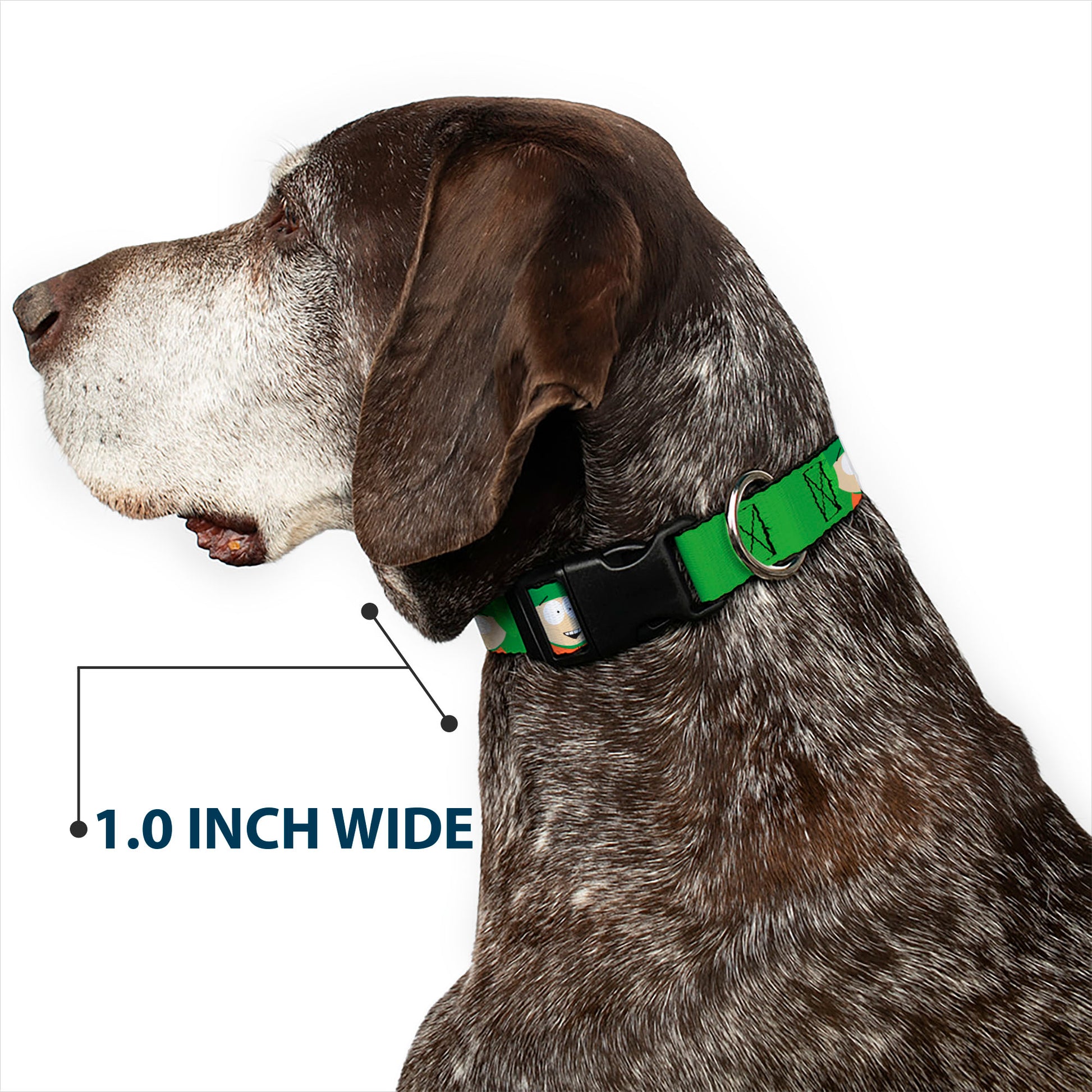Plastic Clip Collar - South Park Kyle Expressions Greens Plastic Clip Collars South Park