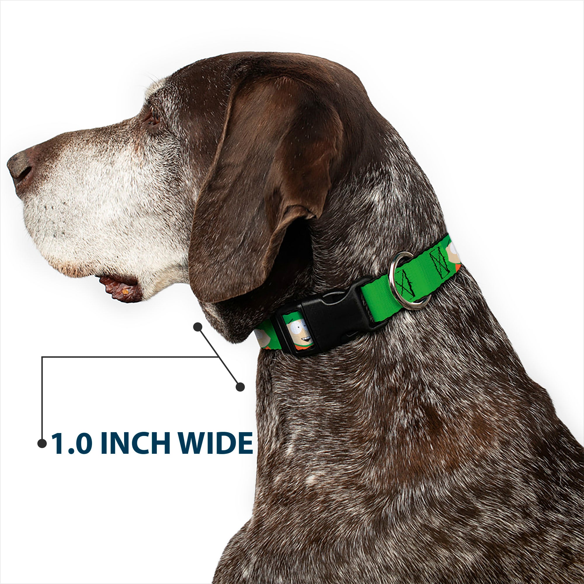 Plastic Clip Collar - South Park Kyle Expressions Greens Plastic Clip Collars South Park