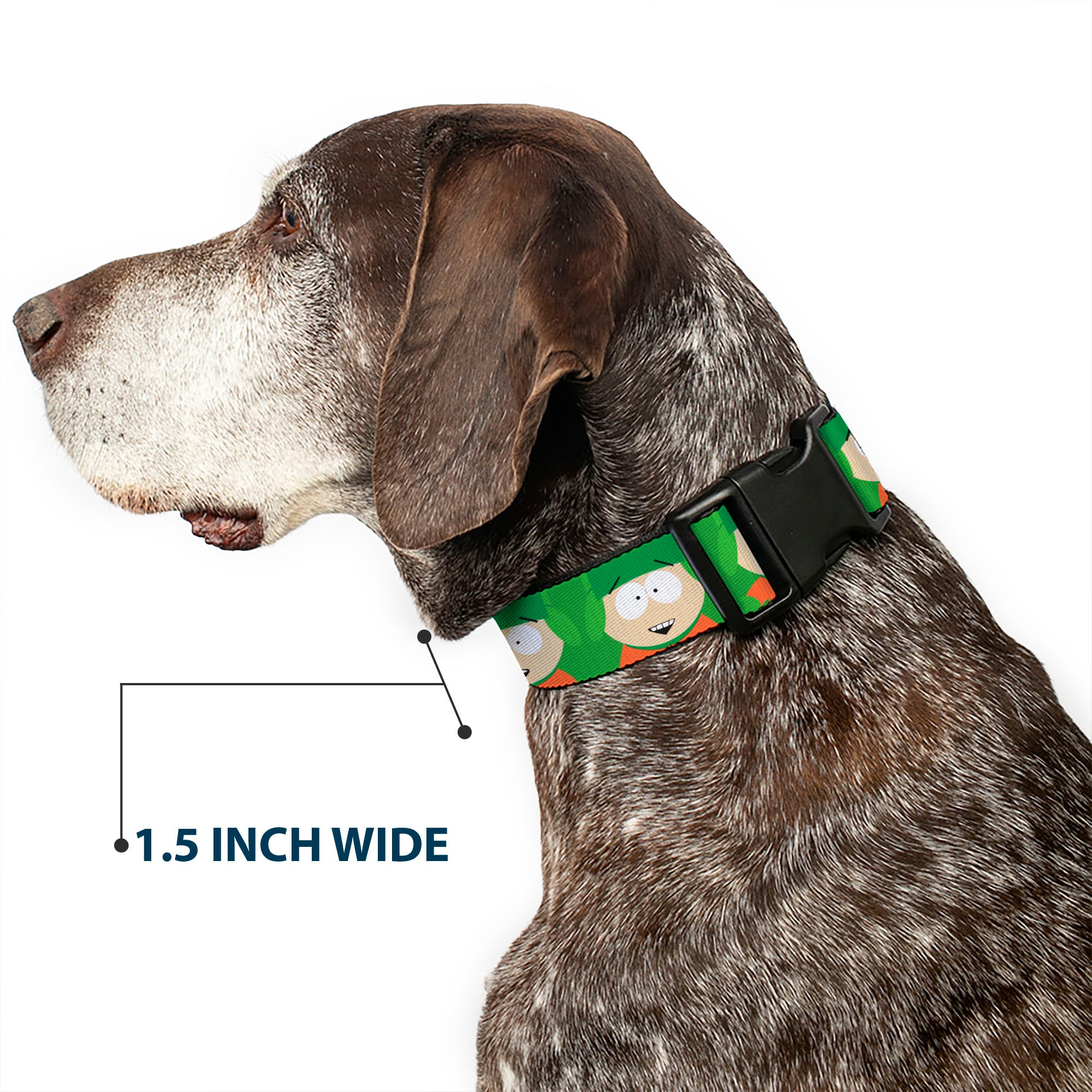 Plastic Clip Collar - South Park Kyle Expressions Greens Plastic Clip Collars South Park