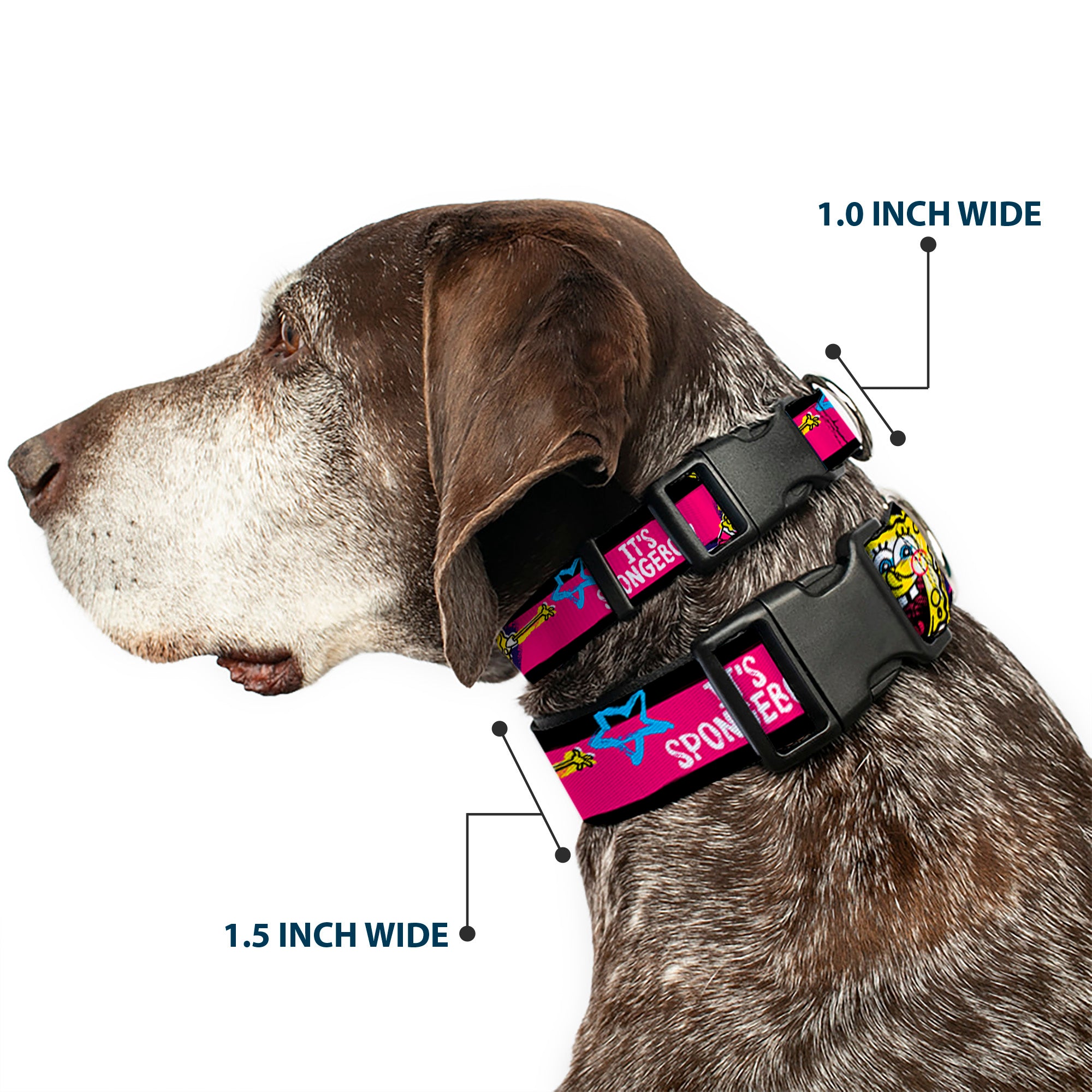 Plastic Clip Collar - SpongeBob Pose IT'S SPONGEBOB! Stripe Black/Pink/Blue/White Plastic Clip Collars SpongeBob SquarePants