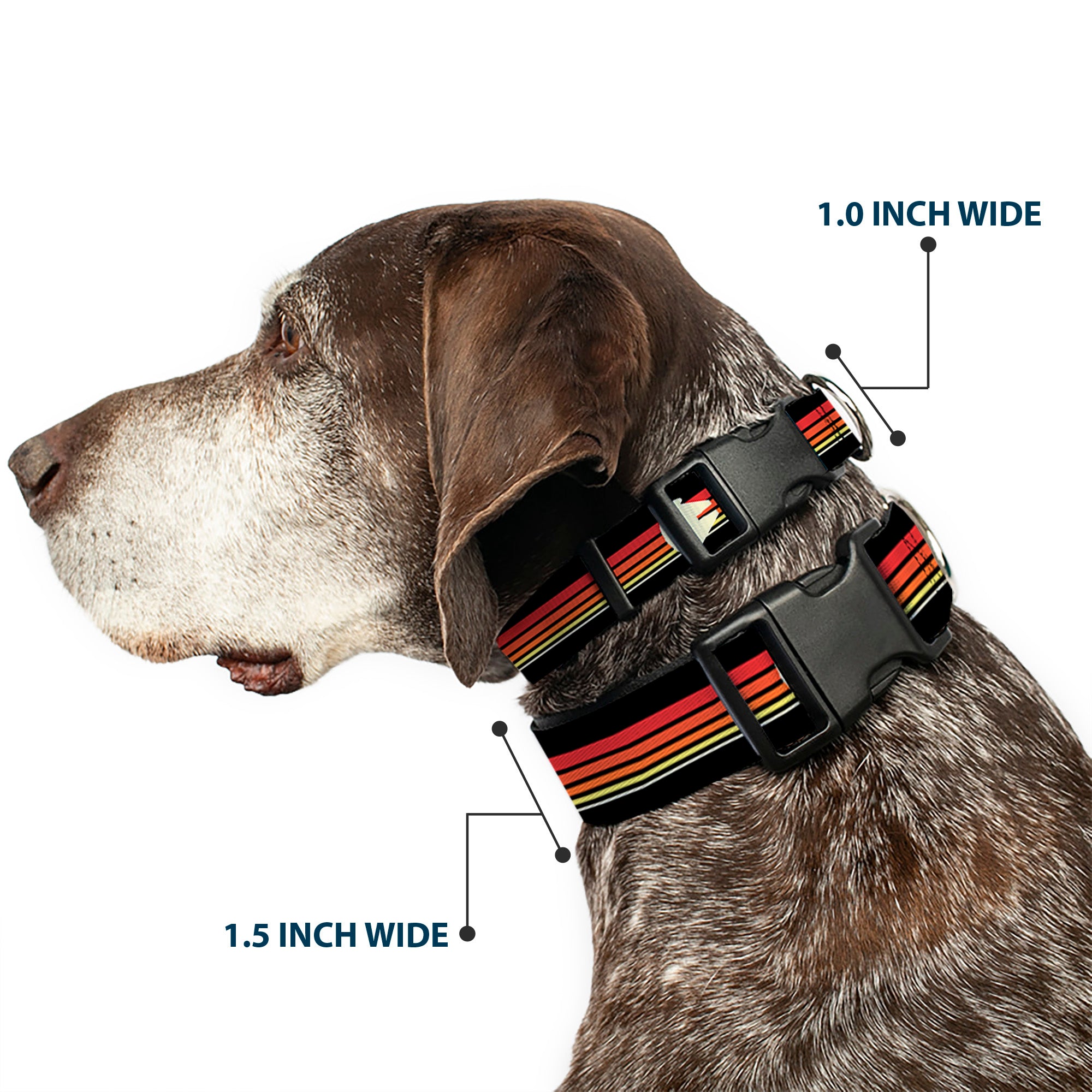 Plastic Clip Collar - Star Wars Millennium Falcon Stripe Black/Multi Color Plastic Clip Collars Star Wars