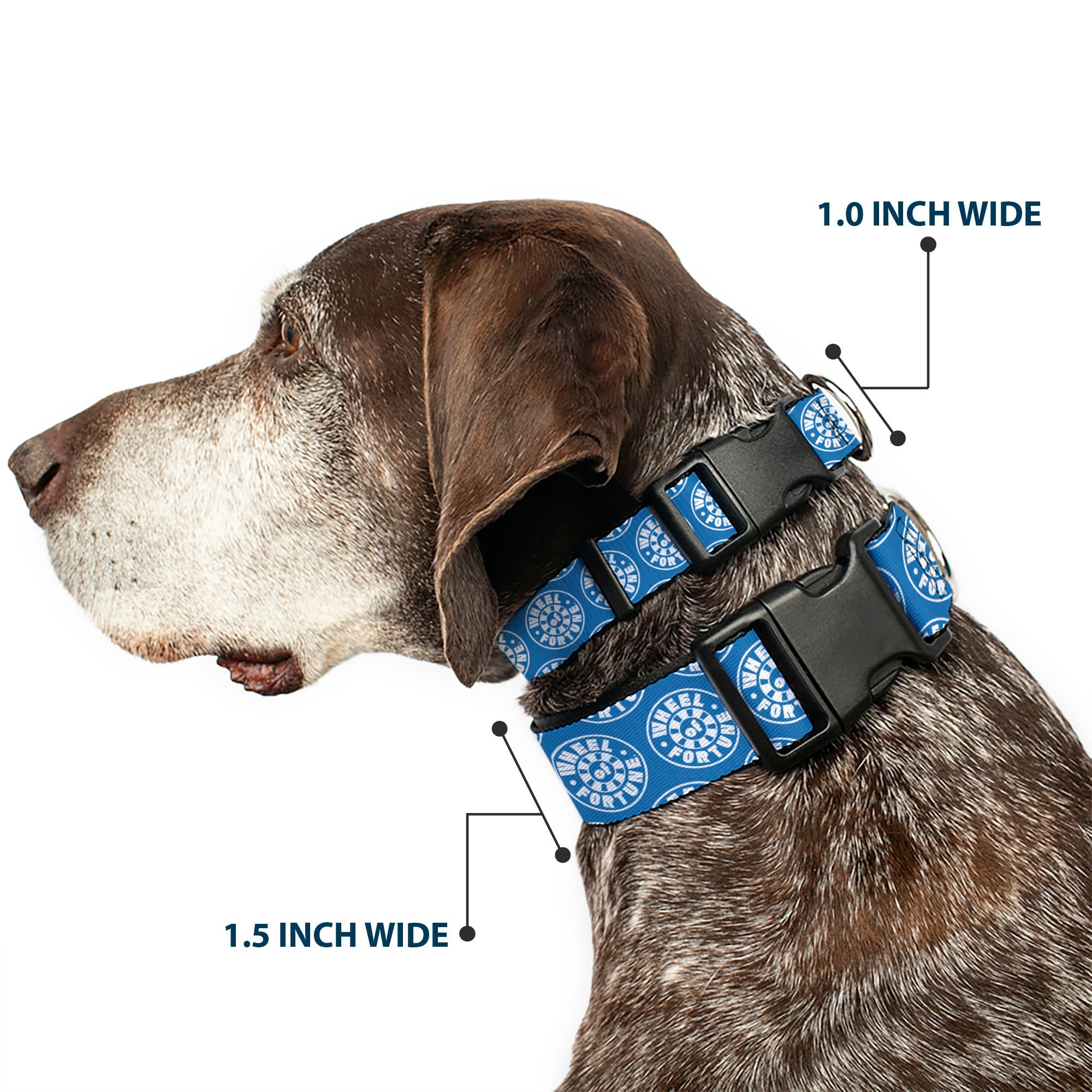 Plastic Clip Collar - WHEEL OF FORTUNE Logo Blue/White Plastic Clip Collars Wheel of Fortune