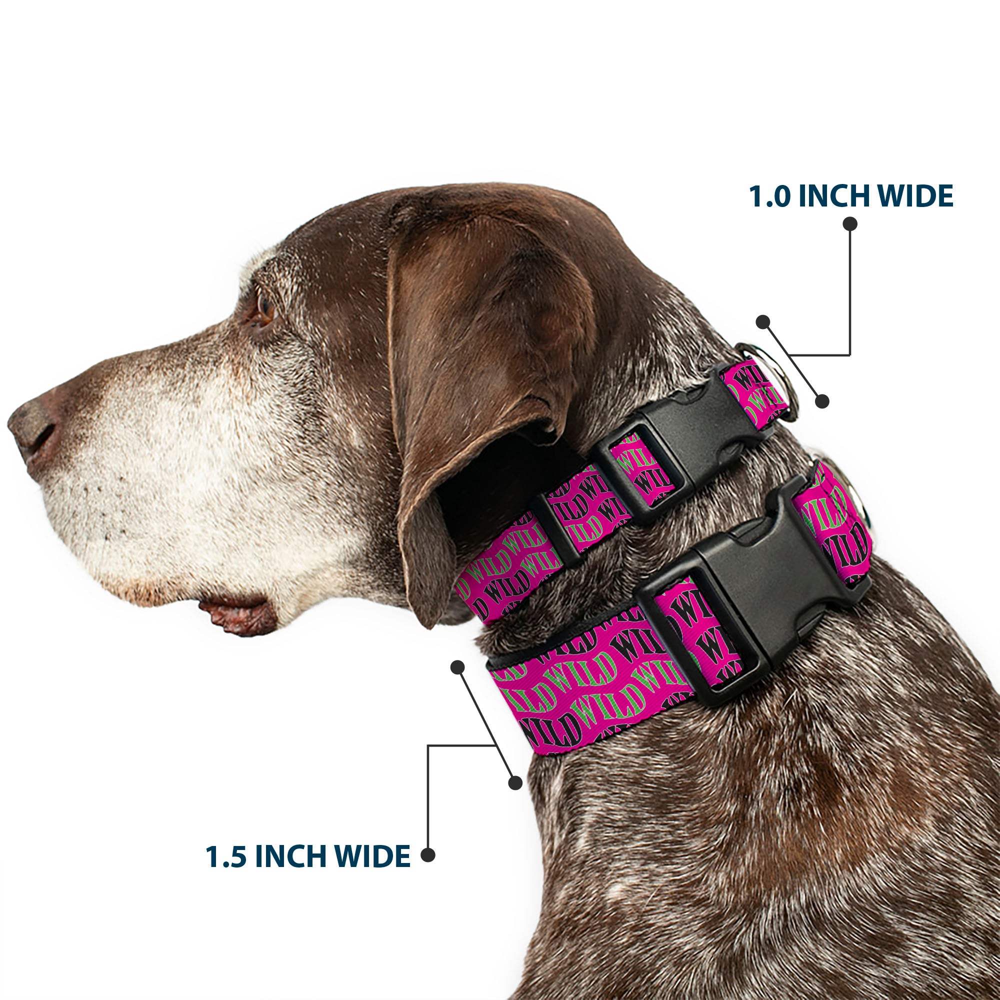 Plastic Clip Collar - Wheel of Fortune WILD Text Wave Pink/Green/Black Plastic Clip Collars Wheel of Fortune