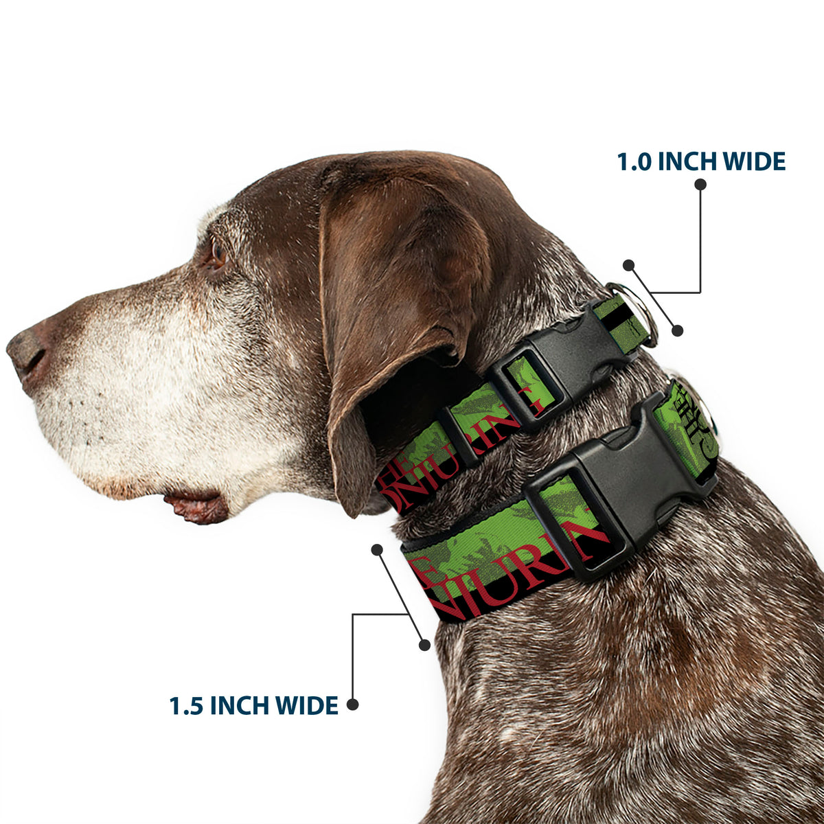 Plastic Clip Collar - THE CONJURING Annabelle Pose and Blocks Black/Greens/Red