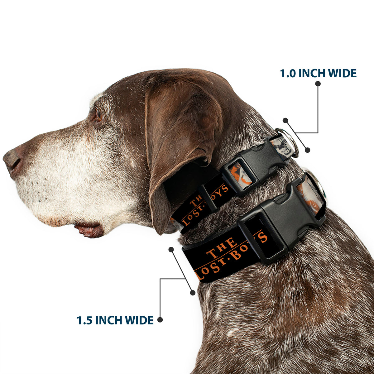 Plastic Clip Collar - THE LOST BOYS David Pose Stacked and Title Logo Black/Red Dog Collars Plastic Clip Side Release The Lost Boys