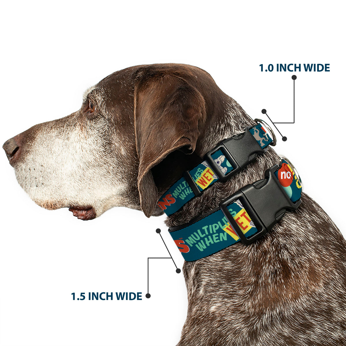 Plastic Clip Collar - GREMLINS MULTIPLIES WHEN WET Gizmo Pose Multi Color Dog Collars Plastic Clip Side Release Gremlins