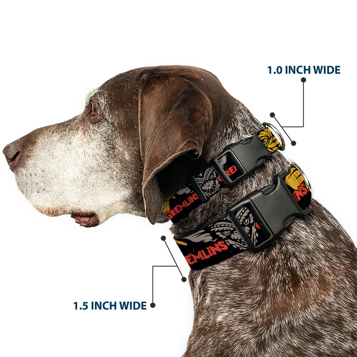 Plastic Clip Collar - GREMLINS Gizmo and Stripe Faces Black/Red/Orange/Gray Dog Collars Plastic Clip Side Release Gremlins