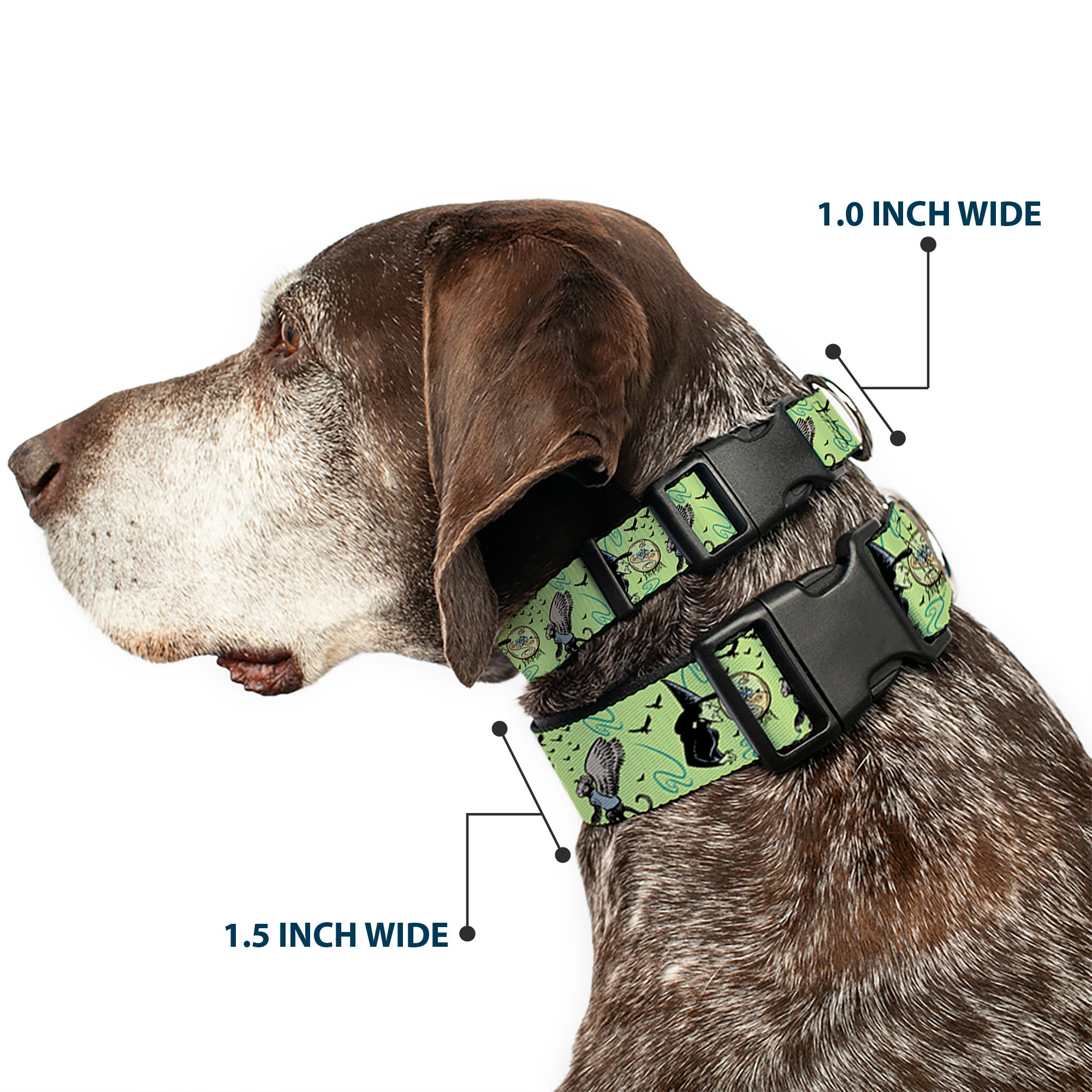Plastic Clip Collar - The Wizard of Oz Wicked Witch of the West and Flying Monkeys Greens Plastic Clip Collars The Wizard of Oz