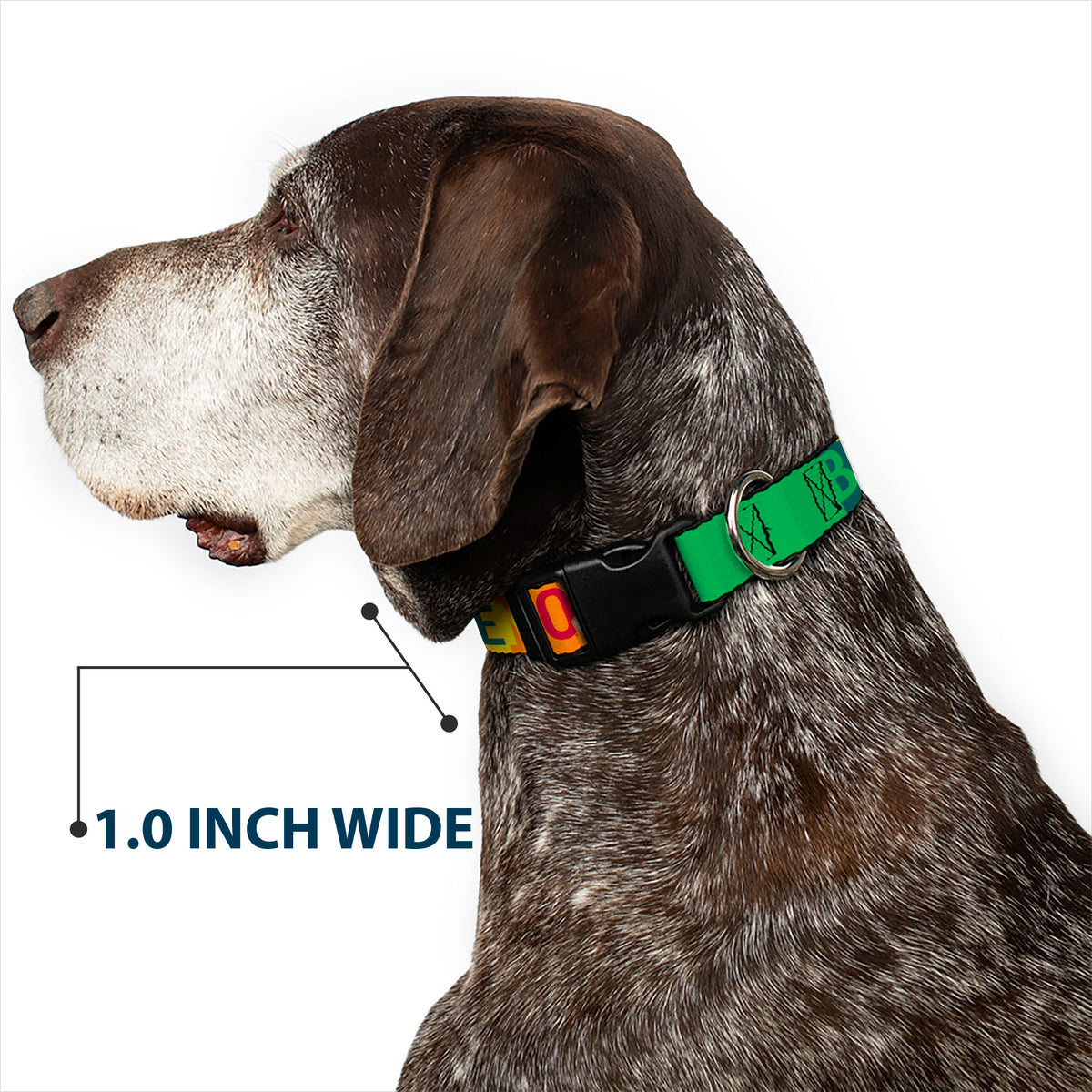 Plastic Clip Collar - BEN 10 Pose and Text Blocks Multi Color Plastic Clip Collars Ben 10