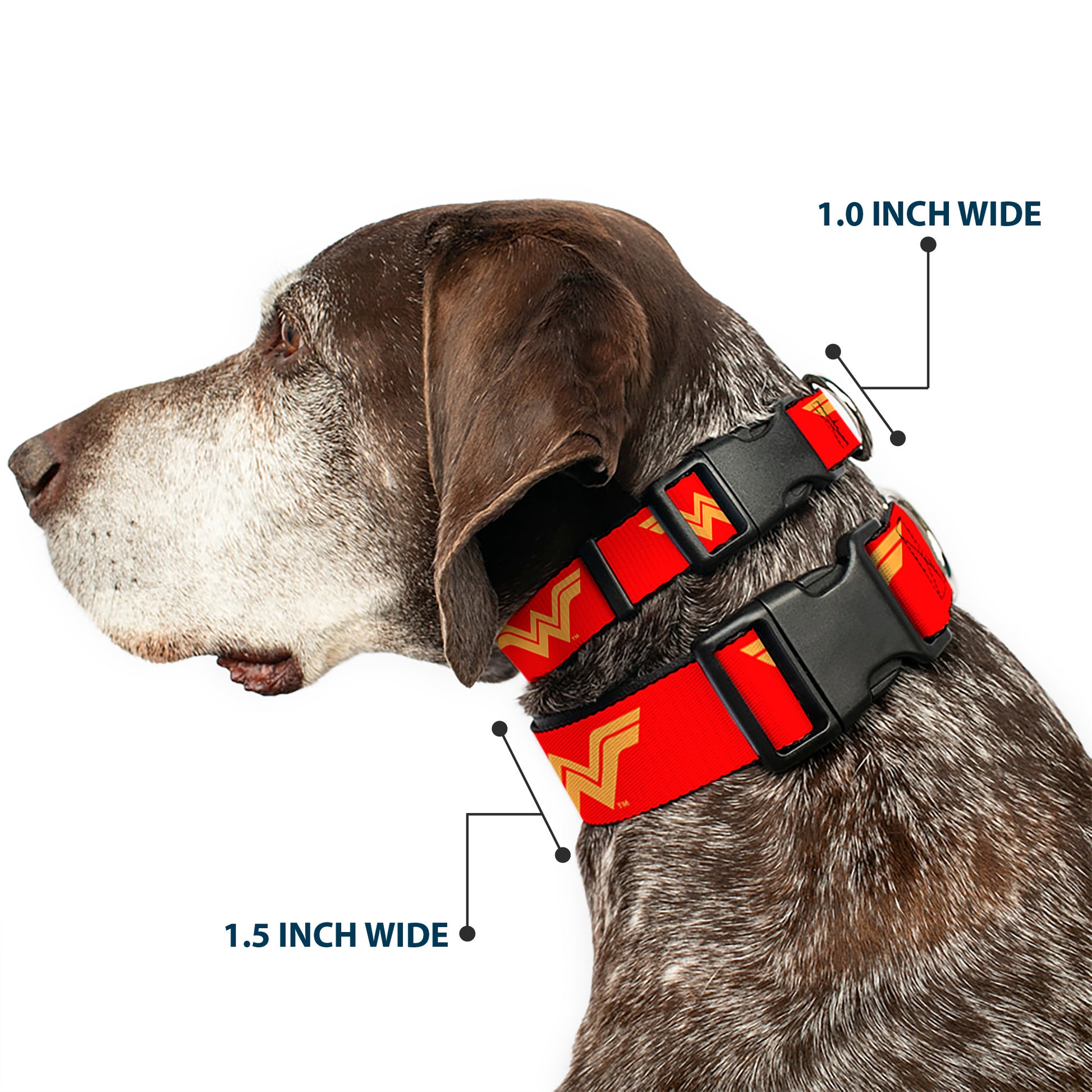 Plastic Clip Collar - DC League of Super-Pets Wonder Woman Logo Red/Yellow Plastic Clip Collars DC Comics