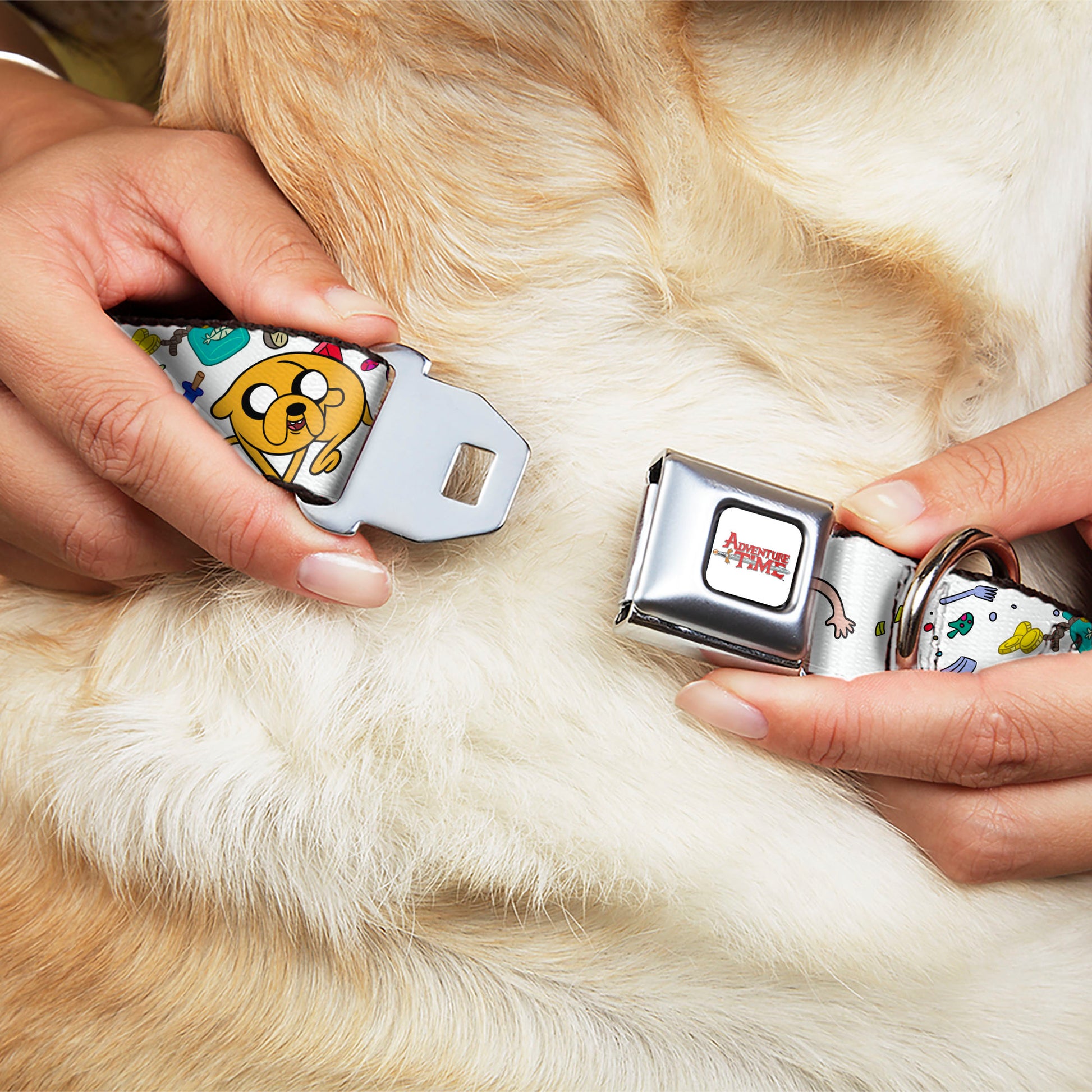 ADVENTURE TIME Title Logo Full Color White Seatbelt Buckle Collar - Adventure Time Jake and Finn Open Pack Pose White Seatbelt Buckle Collars Adventure Time