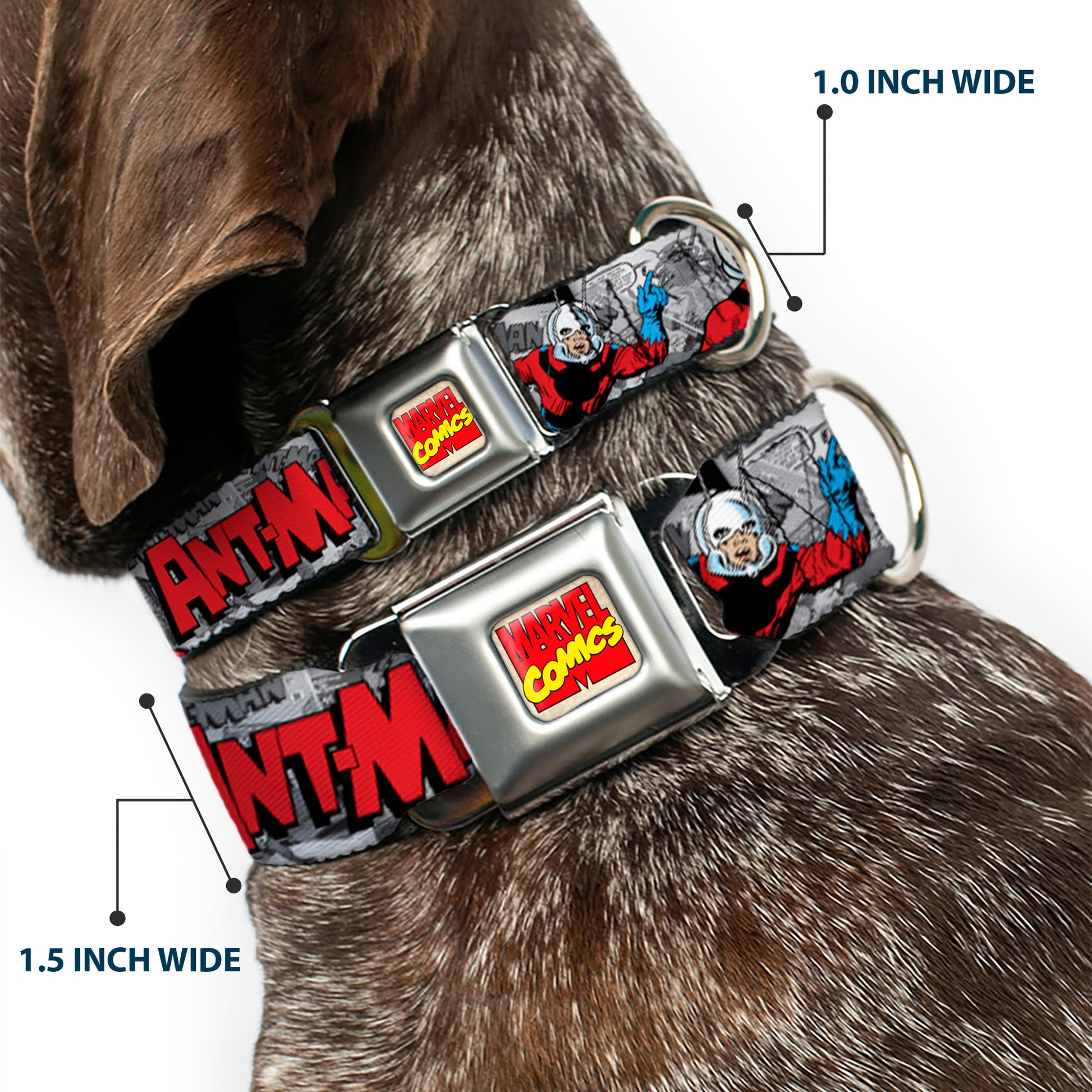 Marvel Comics Logo Full Color Seatbelt Buckle Collar - Classic ANT-MAN 3-Poses/Comic Stacked Grays/Black/Red Seatbelt Buckle Collars Marvel Comics