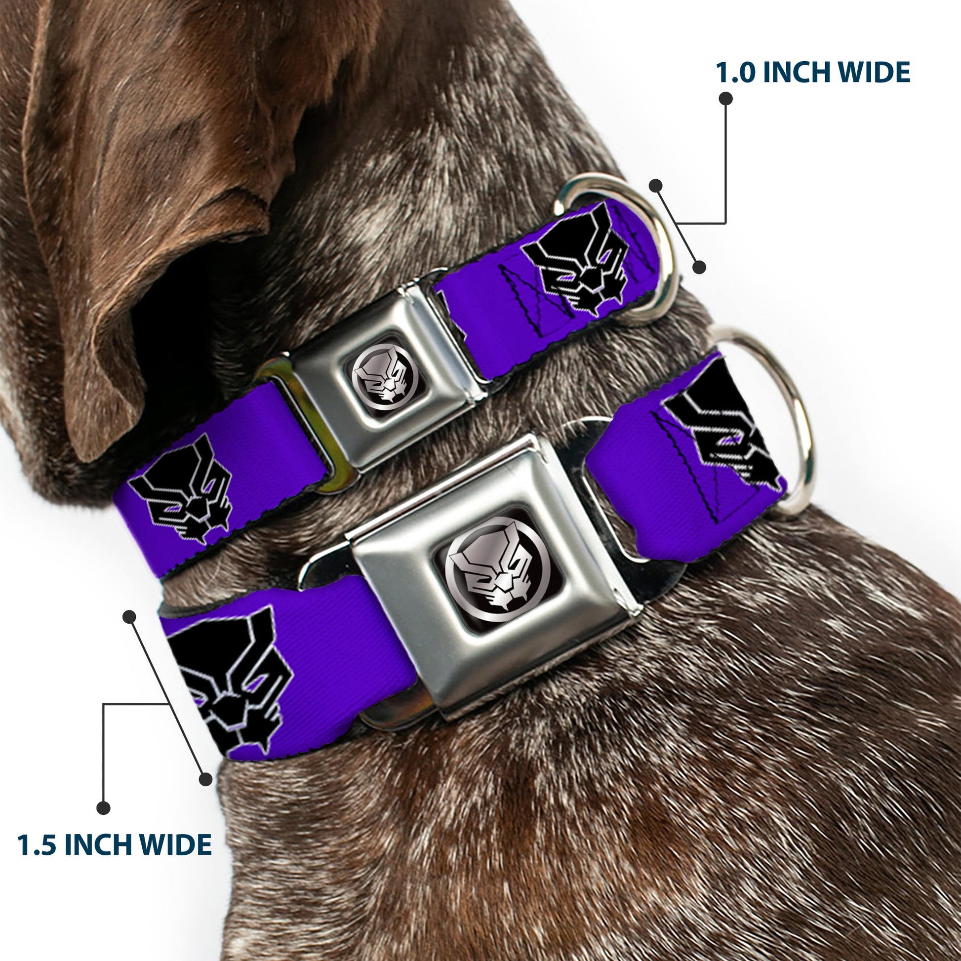 Seatbelt Buckle Collar - Black Panther Avengers Icon Purple/White/Black Seatbelt Buckle Collars Marvel Comics