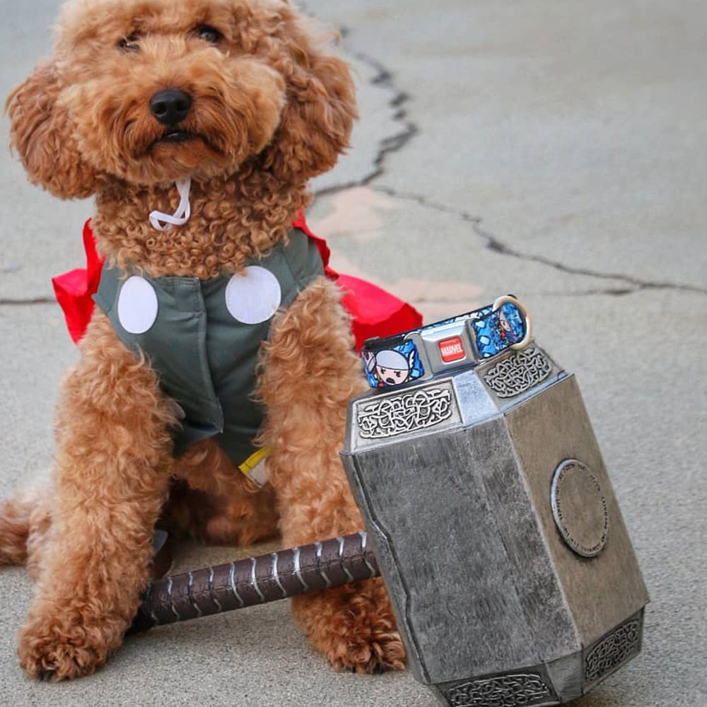 MARVEL UNIVERSE MARVEL Full Color Red White Seatbelt Buckle Collar - Kawaii Thor Poses/Hammer Monogram Blues Seatbelt Buckle Collars Marvel Comics