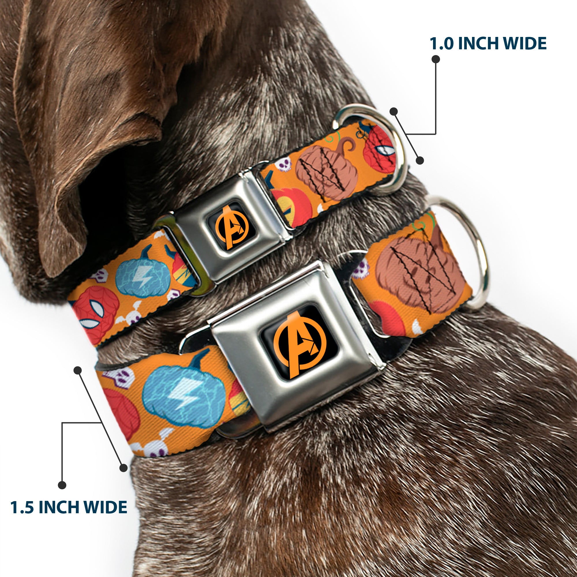 Avengers A Logo Full Color Black/Orange Seatbelt Buckle Collar - Marvel 9-Avengers Halloween Jack-O-Lantern Pumpkin Icons Scattered Orange Seatbelt Buckle Collars Marvel Comics