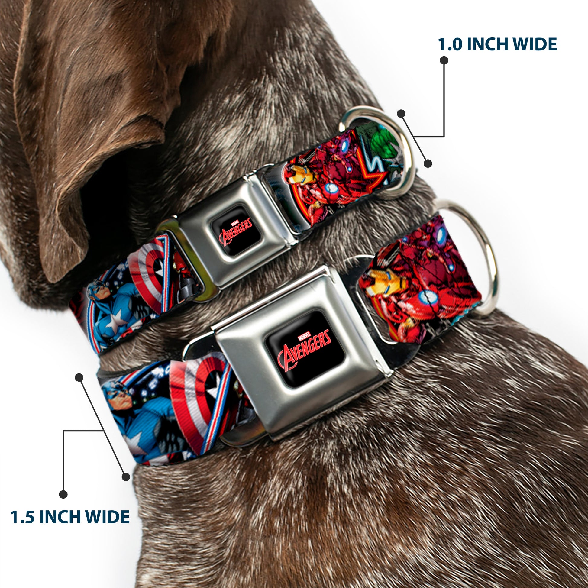 MARVEL AVENGERS Logo Full Color Black/Red/White Seatbelt Buckle Collar - Marvel Avengers Superhero/Villain Poses Seatbelt Buckle Collars Marvel Comics
