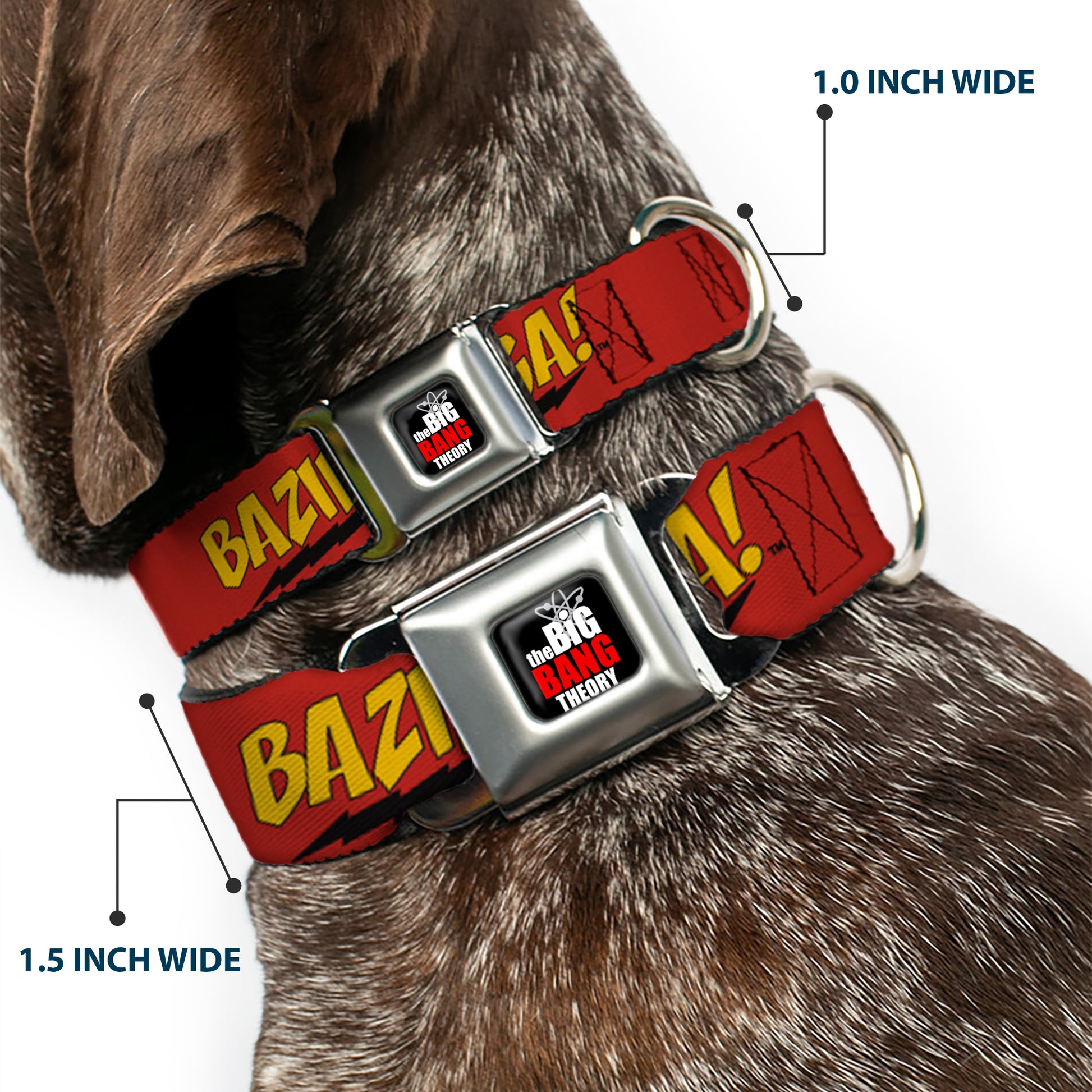 THE BIG BANG THEORY Full Color Black White Red Seatbelt Buckle Collar - BAZINGA! Red/Gold/Black Seatbelt Buckle Collars The Big Bang Theory