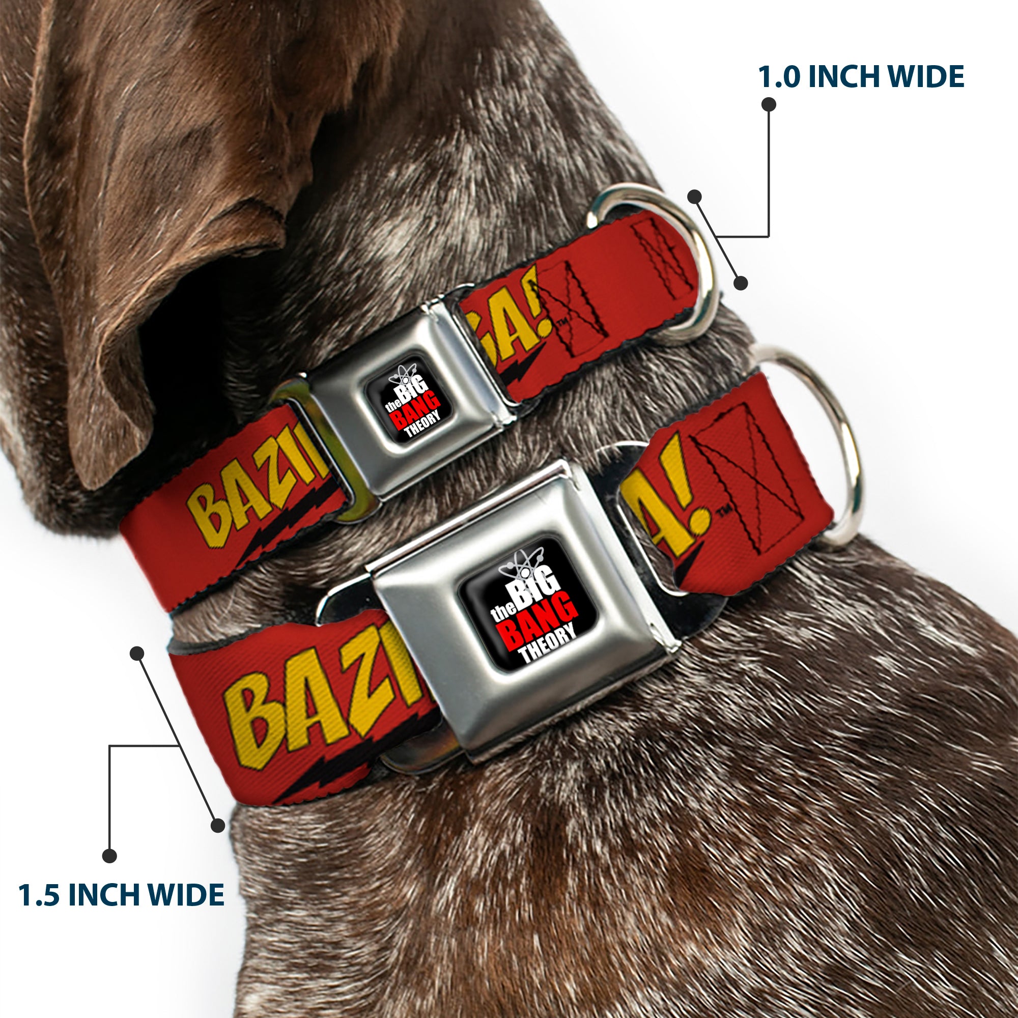 THE BIG BANG THEORY Full Color Black White Red Seatbelt Buckle Collar - BAZINGA! Red/Gold/Black Seatbelt Buckle Collars The Big Bang Theory