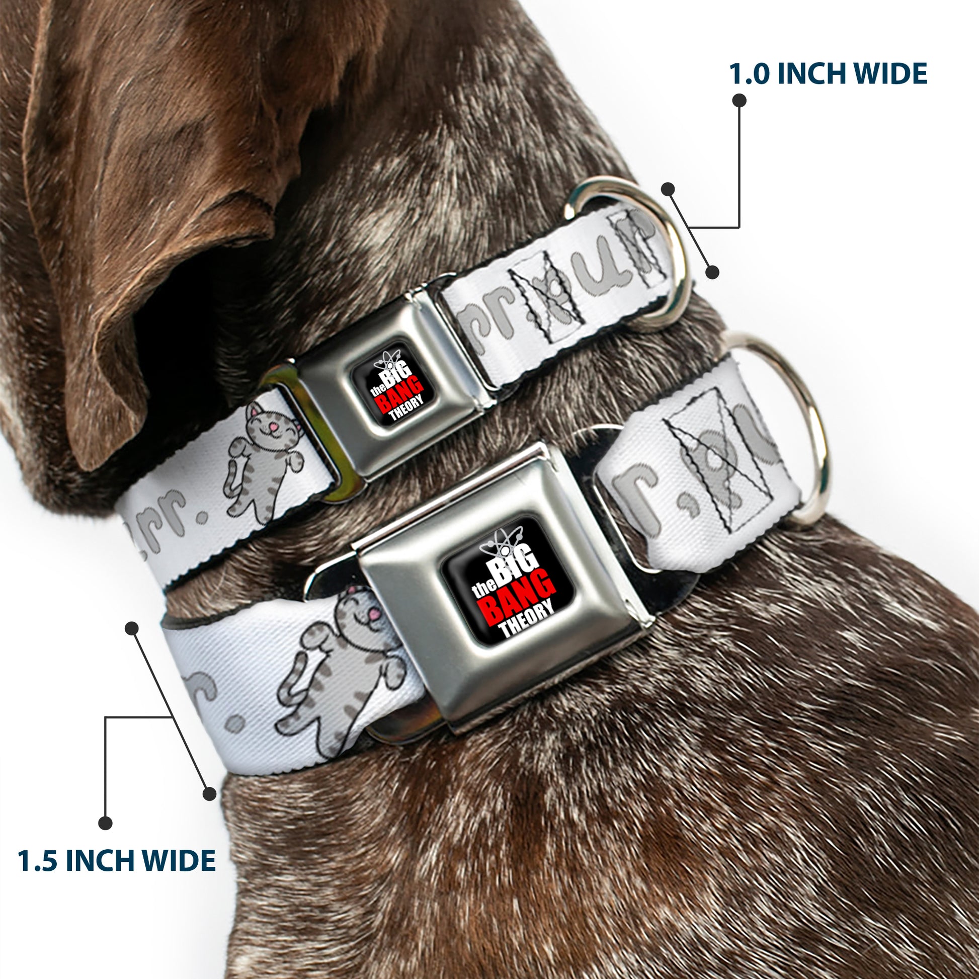 THE BIG BANG THEORY Full Color Black White Red Seatbelt Buckle Collar - Soft Kitty PURR, PURR, PURR Seatbelt Buckle Collars The Big Bang Theory