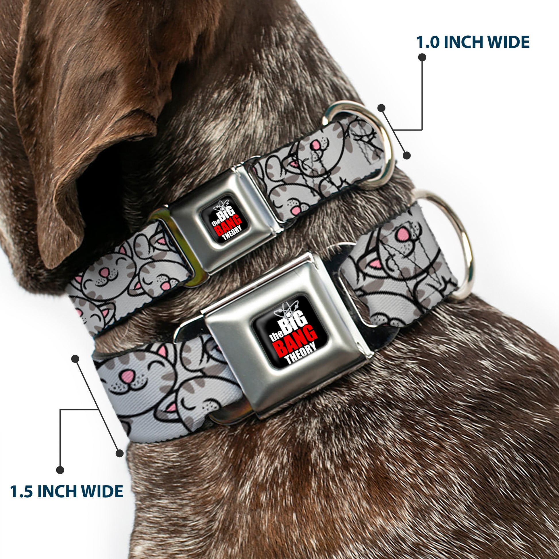THE BIG BANG THEORY Full Color Black White Red Seatbelt Buckle Collar - Soft Kitty Poses Seatbelt Buckle Collars The Big Bang Theory