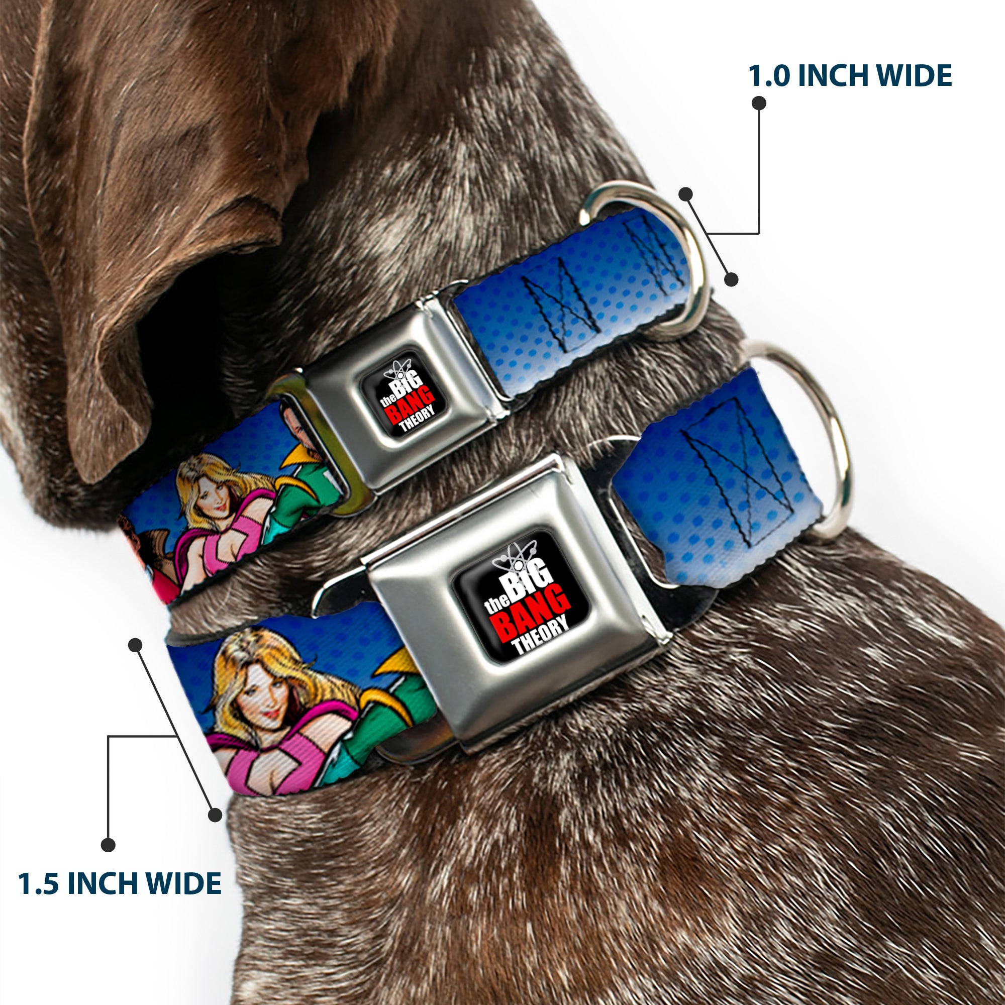 THE BIG BANG THEORY Full Color Black White Red Seatbelt Buckle Collar - The Big Bang Theory Superhero Characters Group Blue Dot Fade Seatbelt Buckle Collars The Big Bang Theory