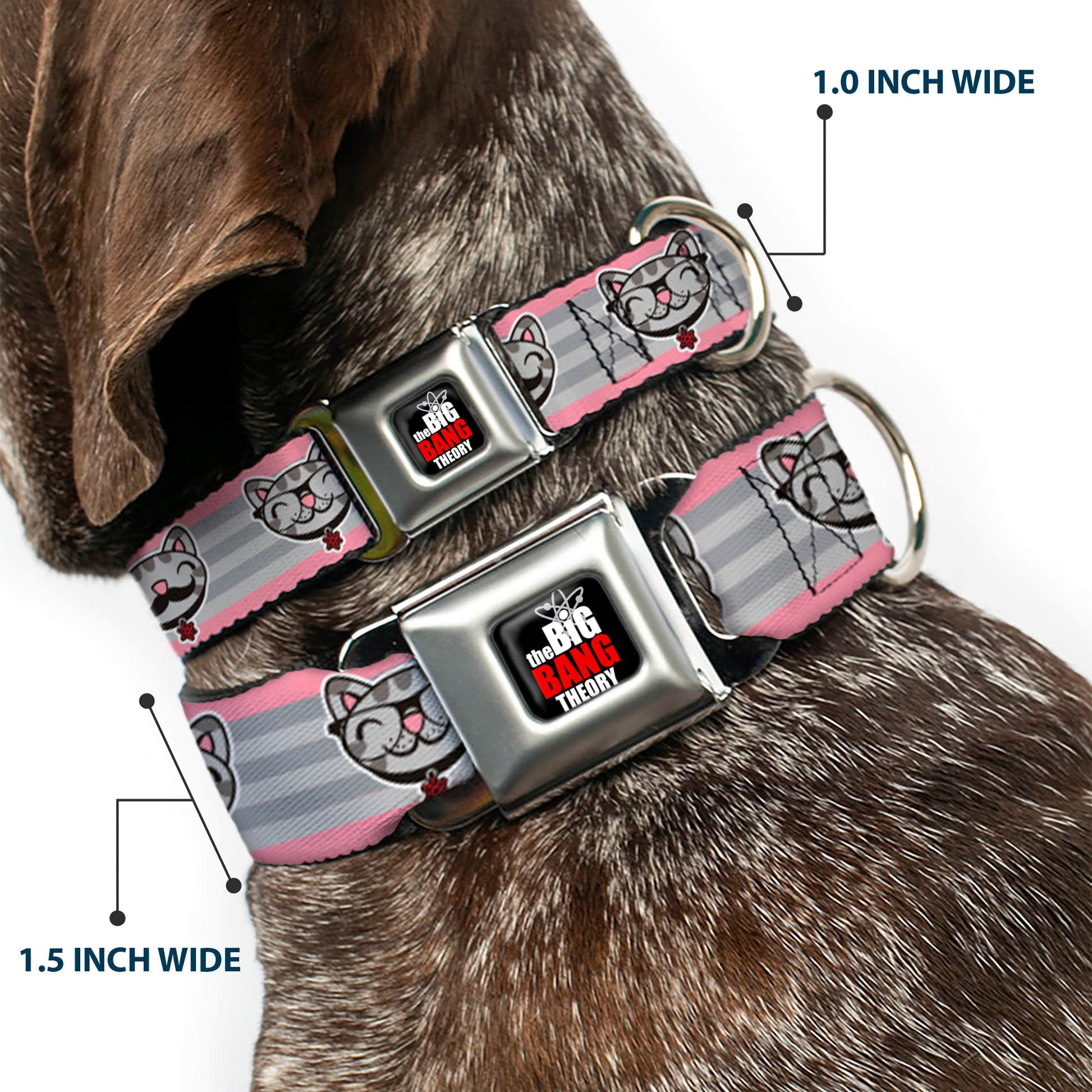 THE BIG BANG THEORY Full Color Black White Red Seatbelt Buckle Collar - Soft Kitty Nerd/Mustacho Expressions Stripe Grays Seatbelt Buckle Collars The Big Bang Theory