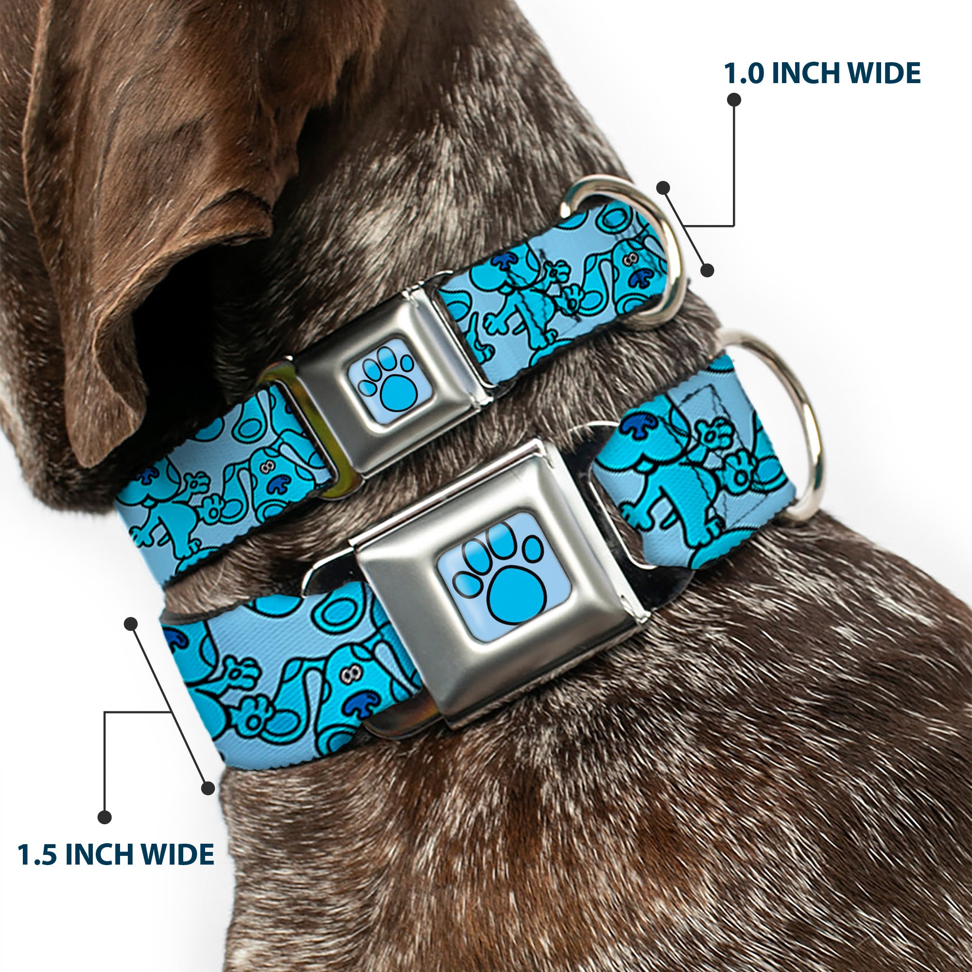 Blue's Clues Paw Full Color Blues Seatbelt Buckle Collar - Blue's Clues Blue Poses Scattered Blues Seatbelt Buckle Collars Blue's Clues