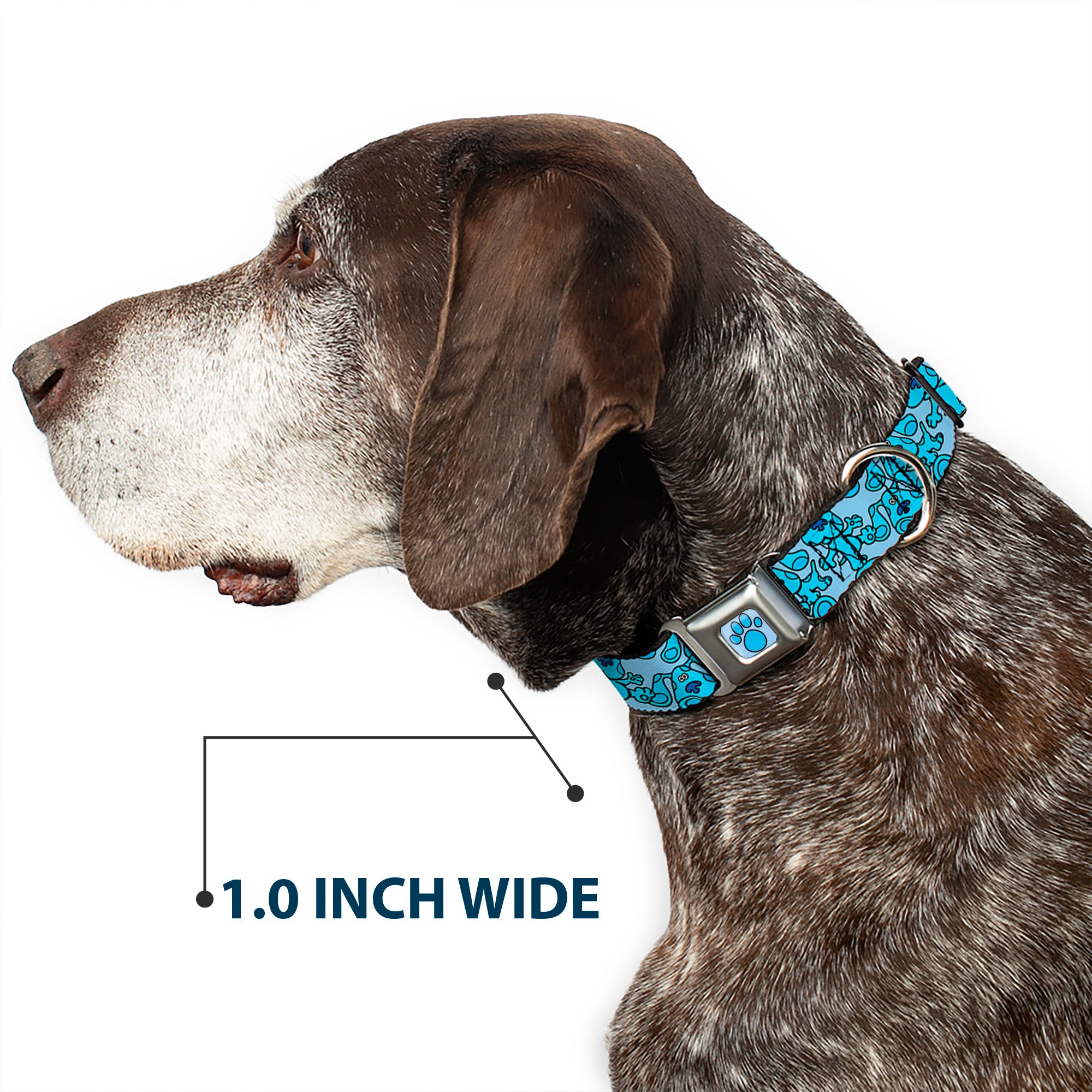 Blue's Clues Paw Full Color Blues Seatbelt Buckle Collar - Blue's Clues Blue Poses Scattered Blues Seatbelt Buckle Collars Blue's Clues