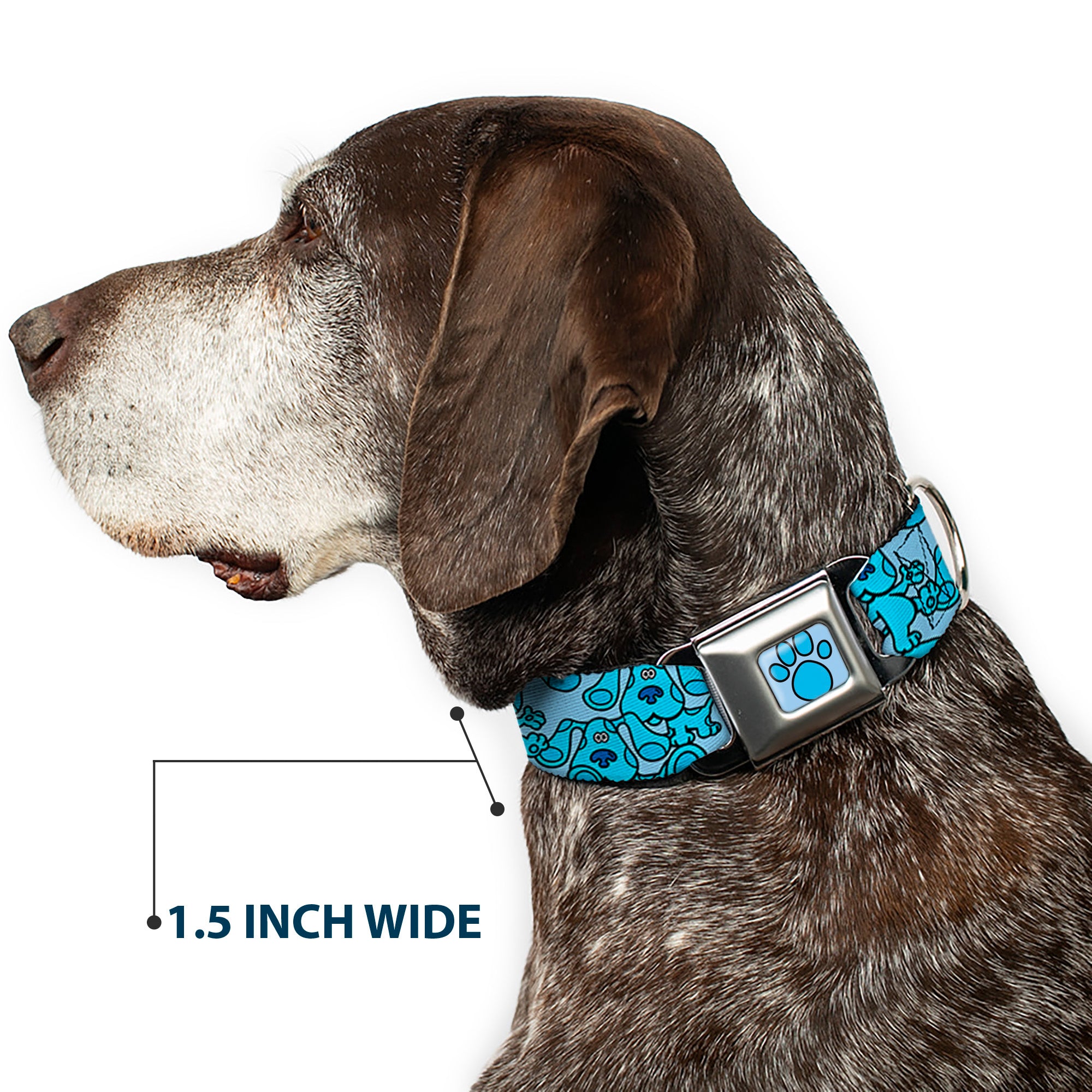 Blue's Clues Paw Full Color Blues Seatbelt Buckle Collar - Blue's Clues Blue Poses Scattered Blues Seatbelt Buckle Collars Blue's Clues