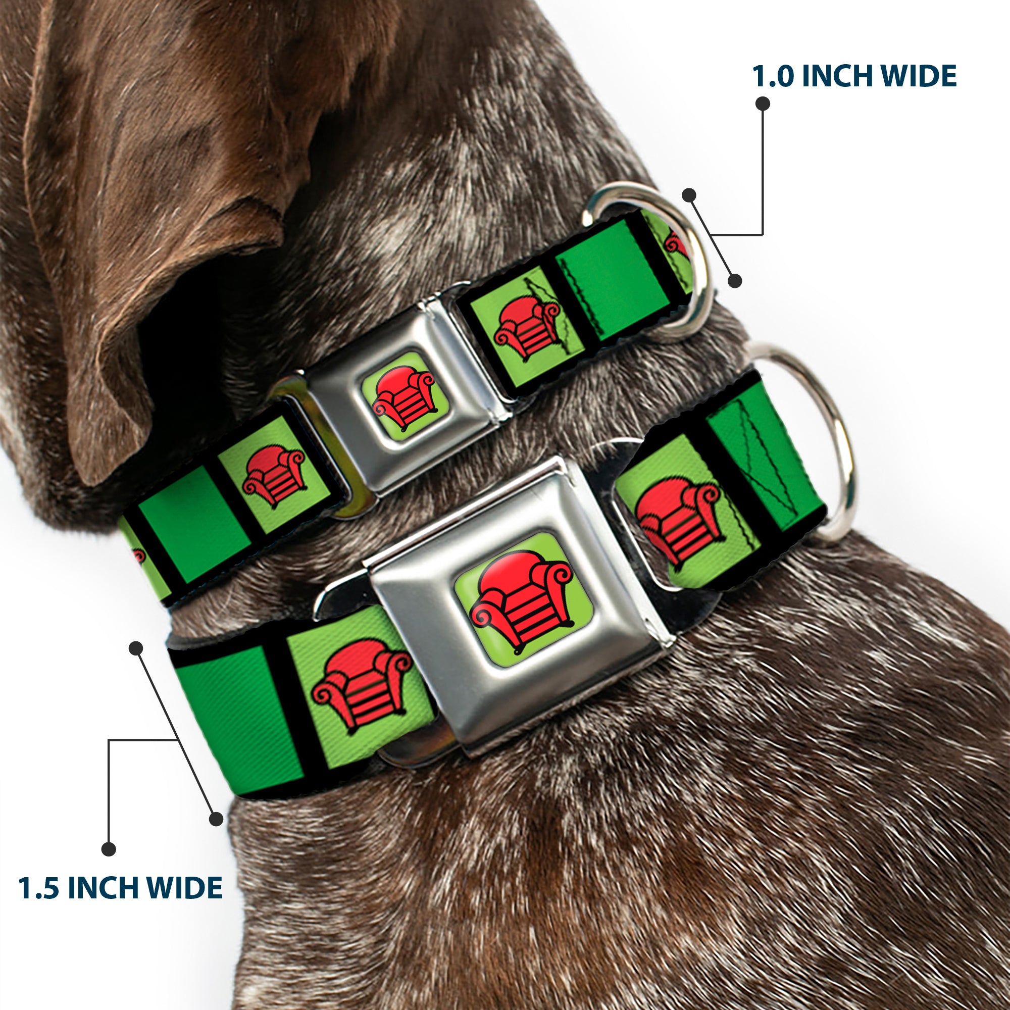 Blue's Clues Steve's Thinking Chair Full Color Green/Black/Red Seatbelt Buckle Collar - Blue's Clues Steve's Stripe and Thinking Chair Black/Greens/Red Seatbelt Buckle Collars Blue's Clues