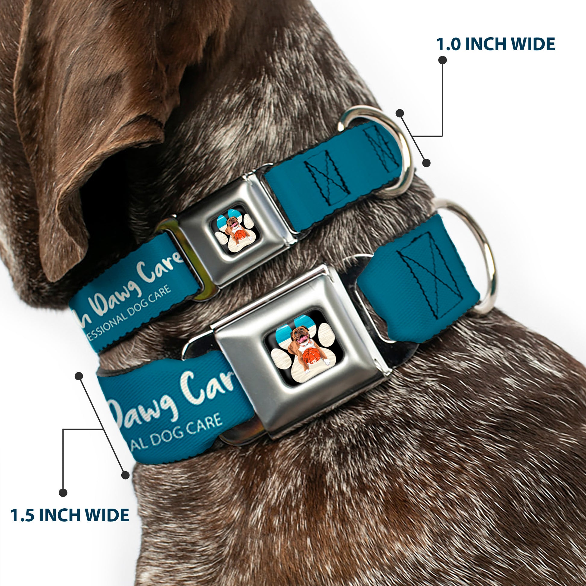 Beach Dawg Care Paw Logo Full Color Black Seatbelt Buckle Collar - BEACH DAWG CARE ALL DOGS ARE EQUAL Turquoise/White Seatbelt Buckle Collars Buckle-Down