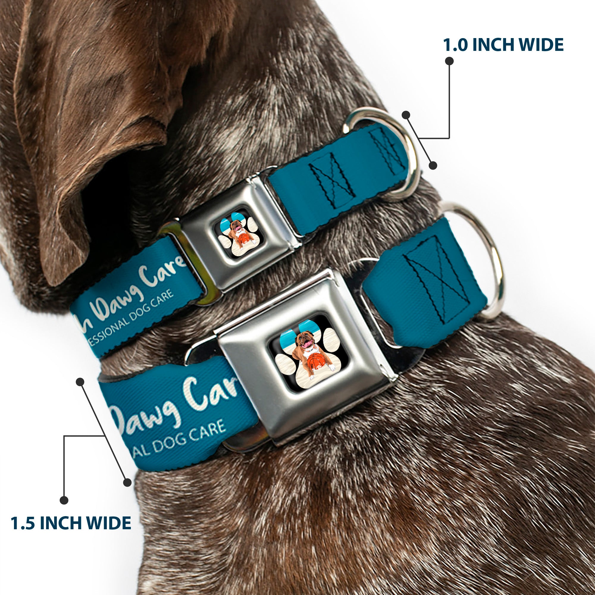 Beach Dawg Care Paw Logo Full Color Black Seatbelt Buckle Collar - BEACH DAWG CARE ALL DOGS ARE EQUAL Turquoise/White Seatbelt Buckle Collars Buckle-Down