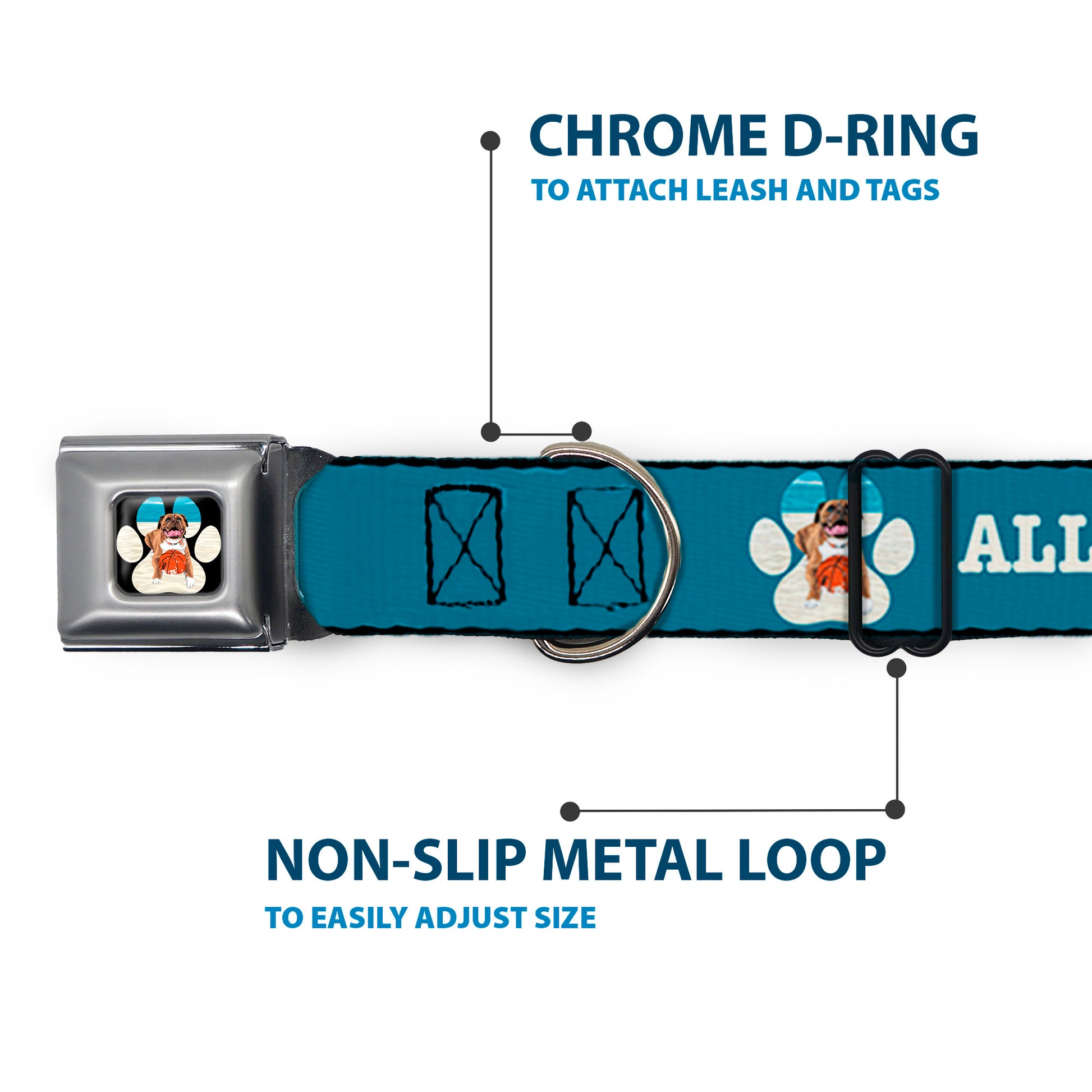 Beach Dawg Care Paw Logo Full Color Black Seatbelt Buckle Collar - BEACH DAWG CARE ALL DOGS ARE EQUAL Turquoise/White Seatbelt Buckle Collars Buckle-Down