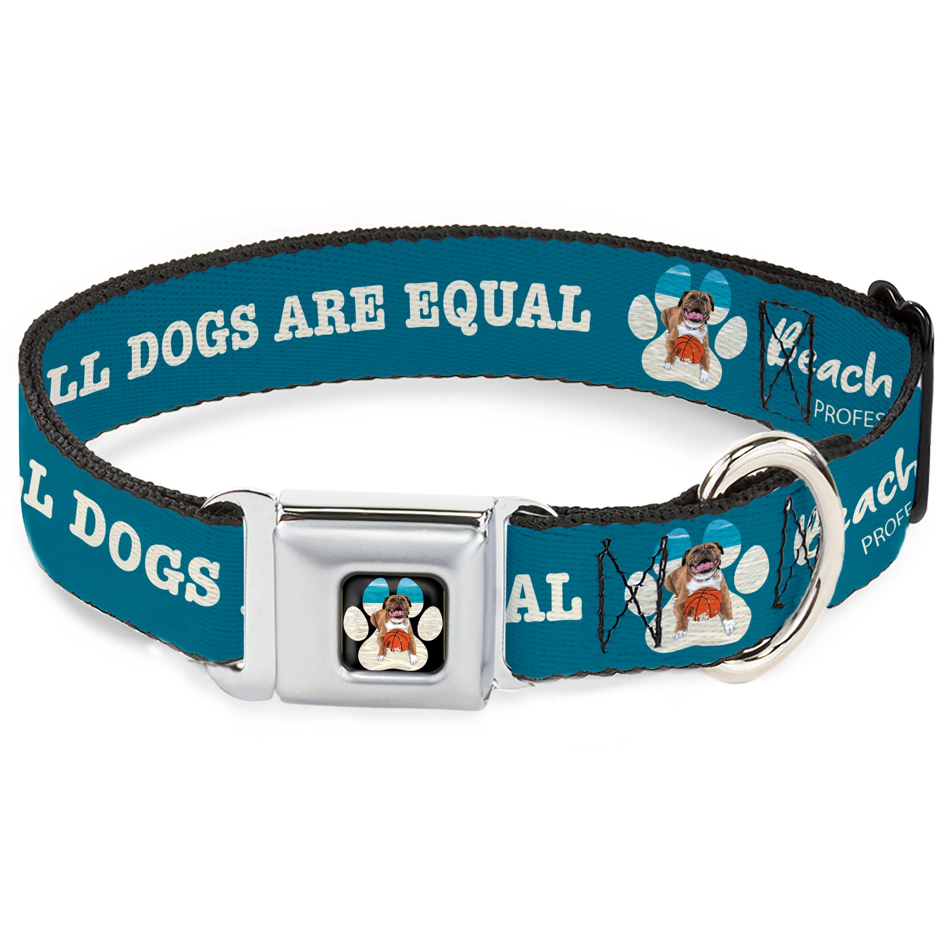 Beach Dawg Care Paw Logo Full Color Black Seatbelt Buckle Collar - BEACH DAWG CARE ALL DOGS ARE EQUAL Turquoise/White Seatbelt Buckle Collars Buckle-Down